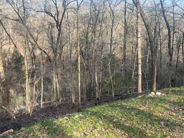 Dora, MO 65637,000 County Road 328