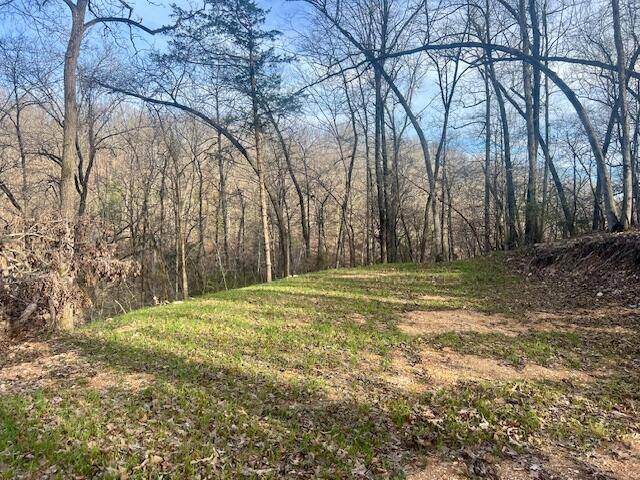 Dora, MO 65637,000 County Road 328