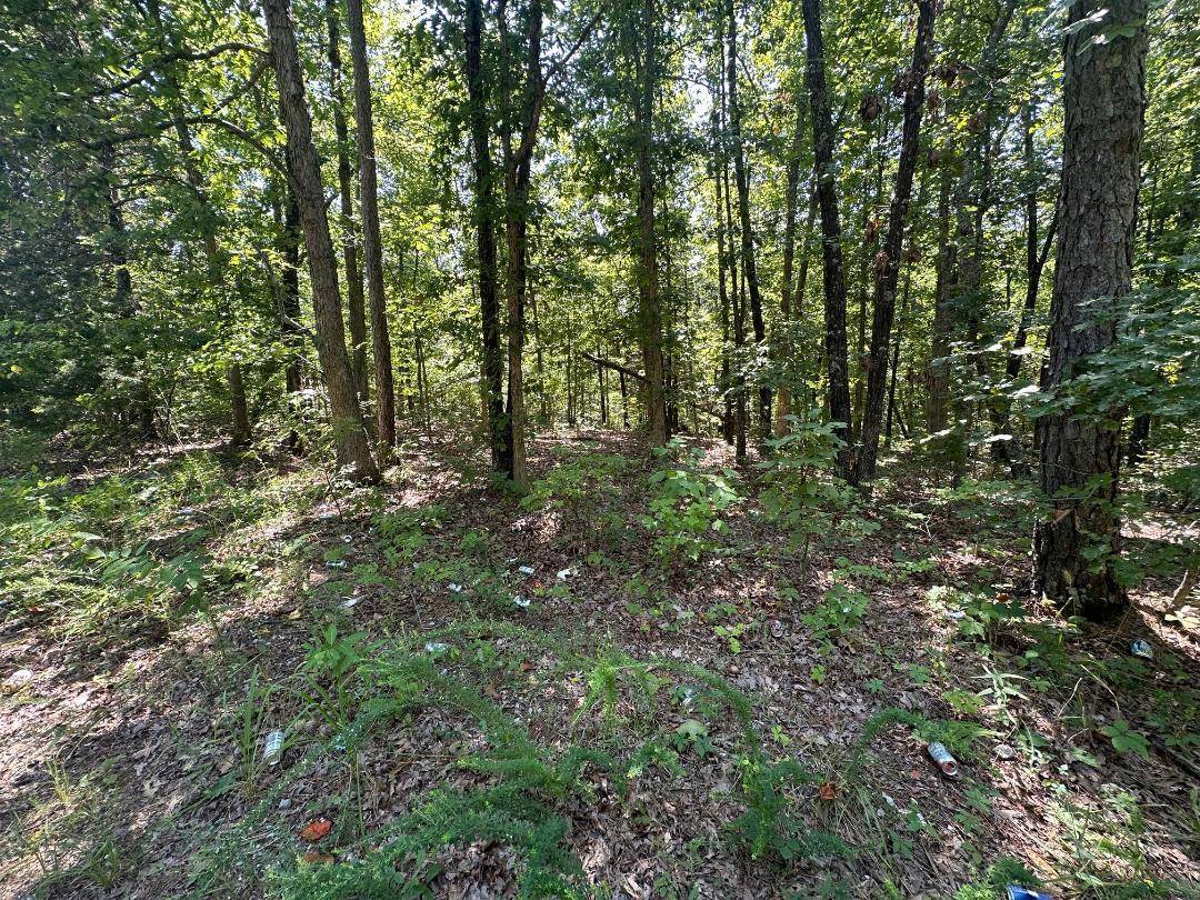 Licking, MO 65542,00000 Whispering Pines Lane