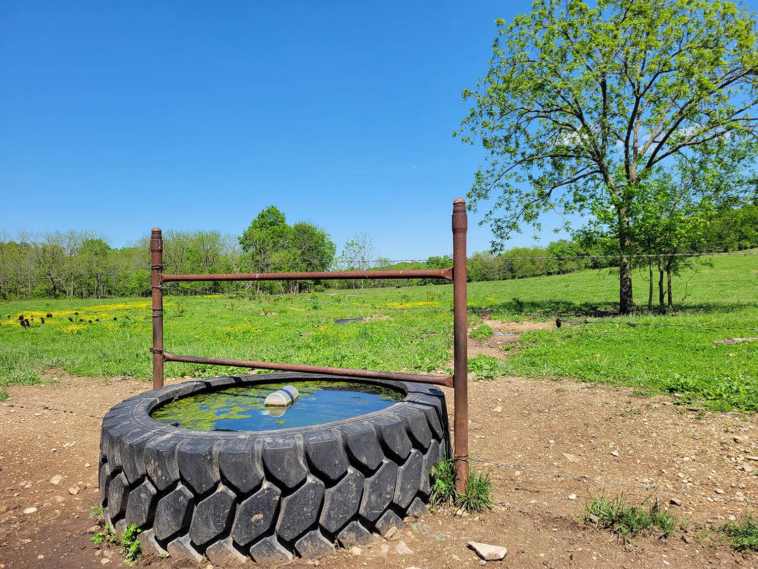 Grovespring, MO 65662,0 Red Barn Road -L