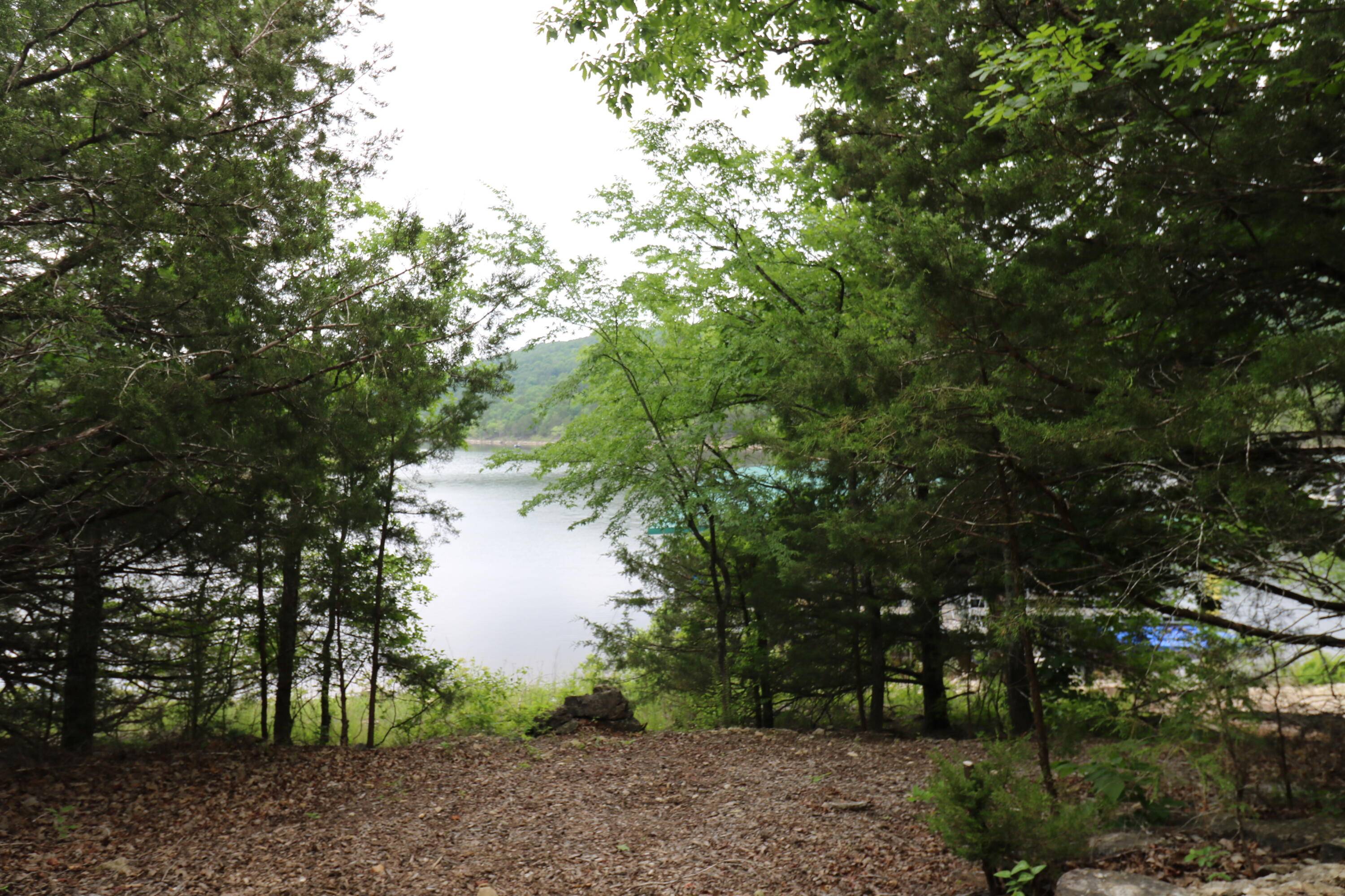 Lampe, MO 65681,123 Joseph Cove DR