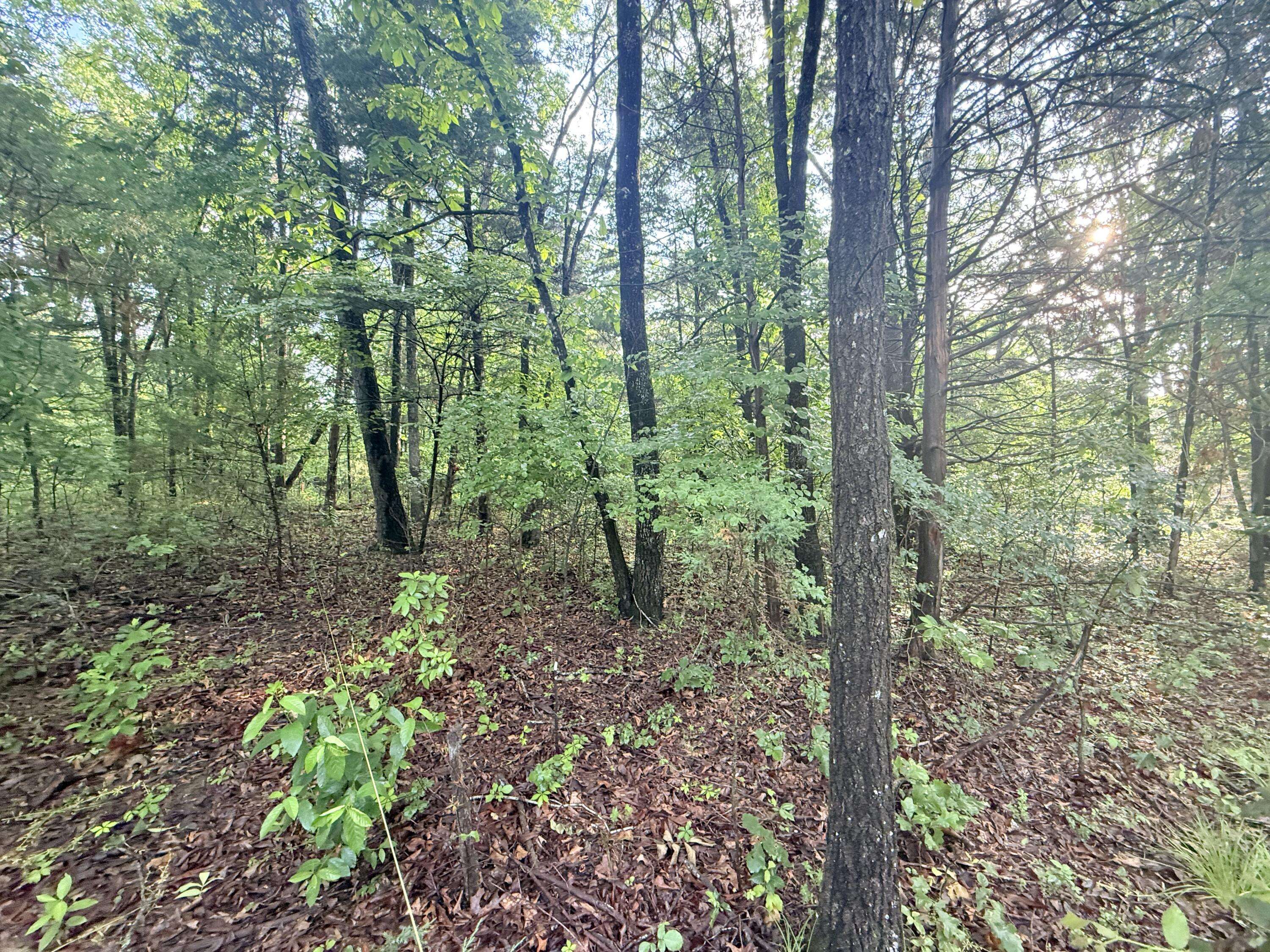 Kimberling City, MO 65686,Lot 17, 18 Joe Bald RD