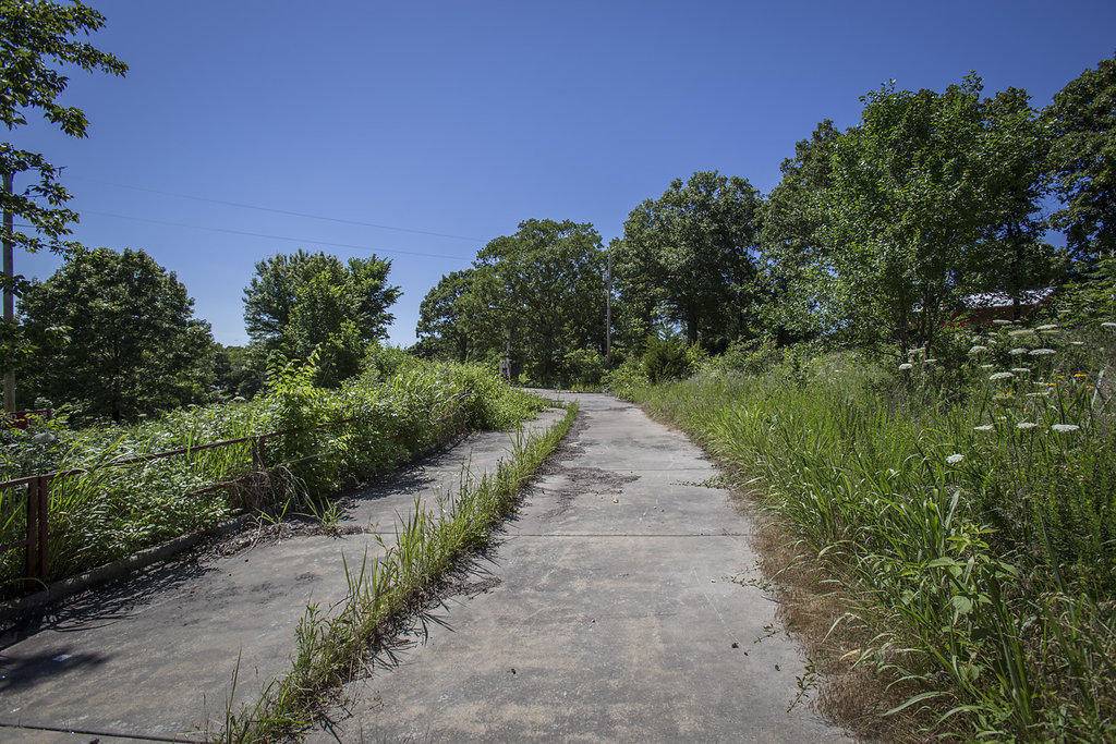 Ozark, MO 65721,411 Steinert LN