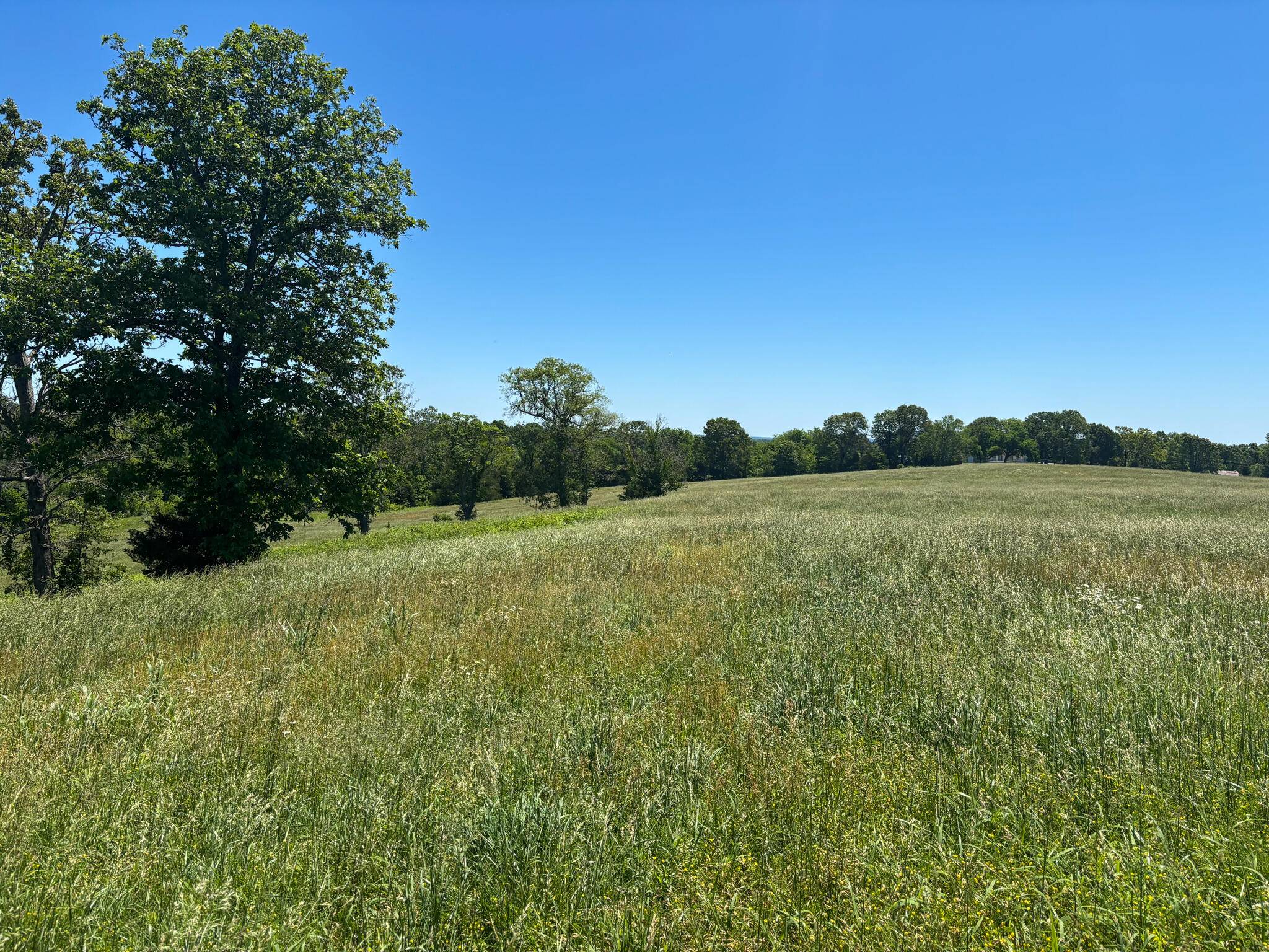 Theodosia, MO 65761,Tbd Highway 160