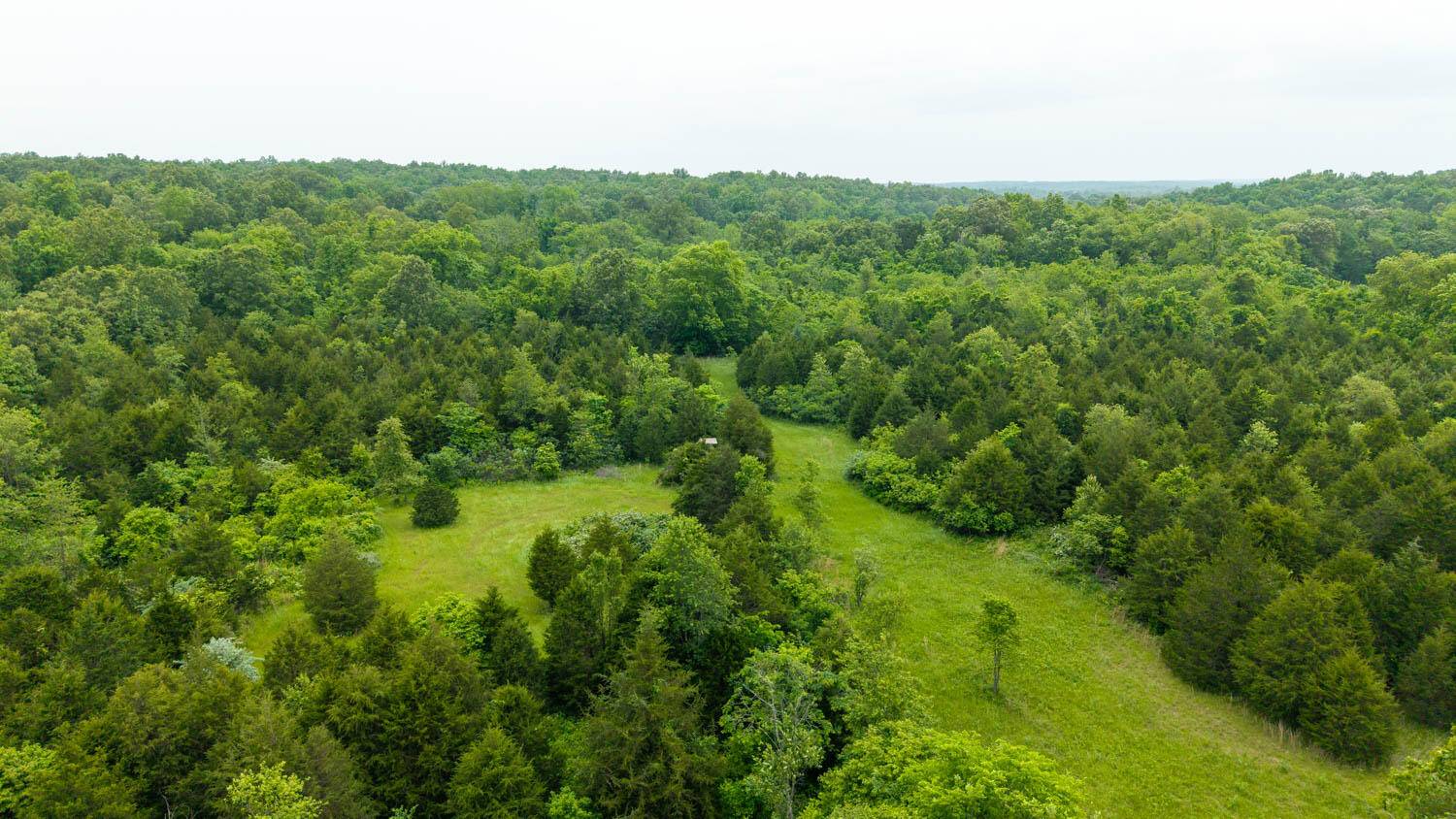 Alton, MO 65606,Tbd County Road 102