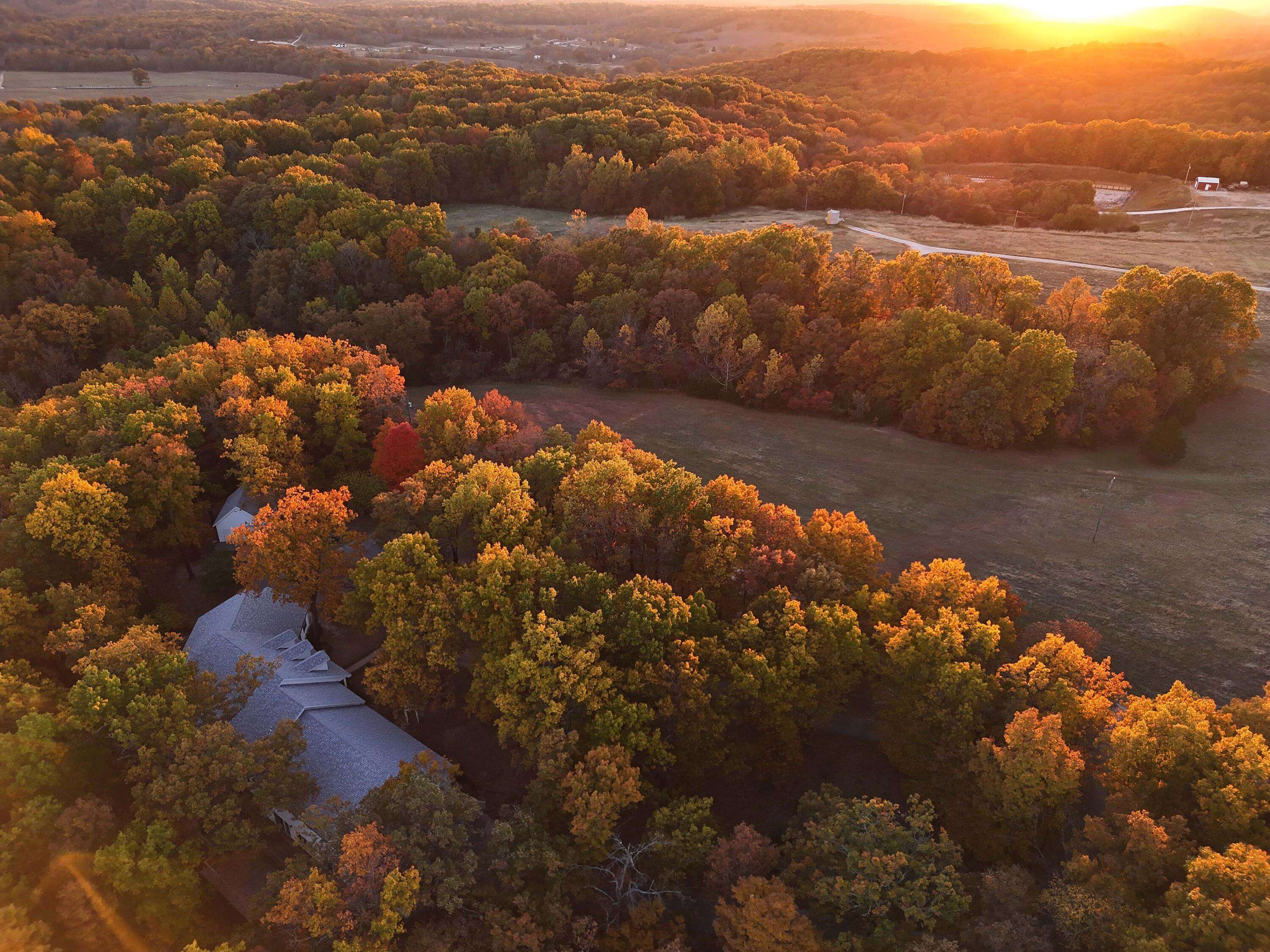 Marshfield, MO 65706,607 Sumac LN