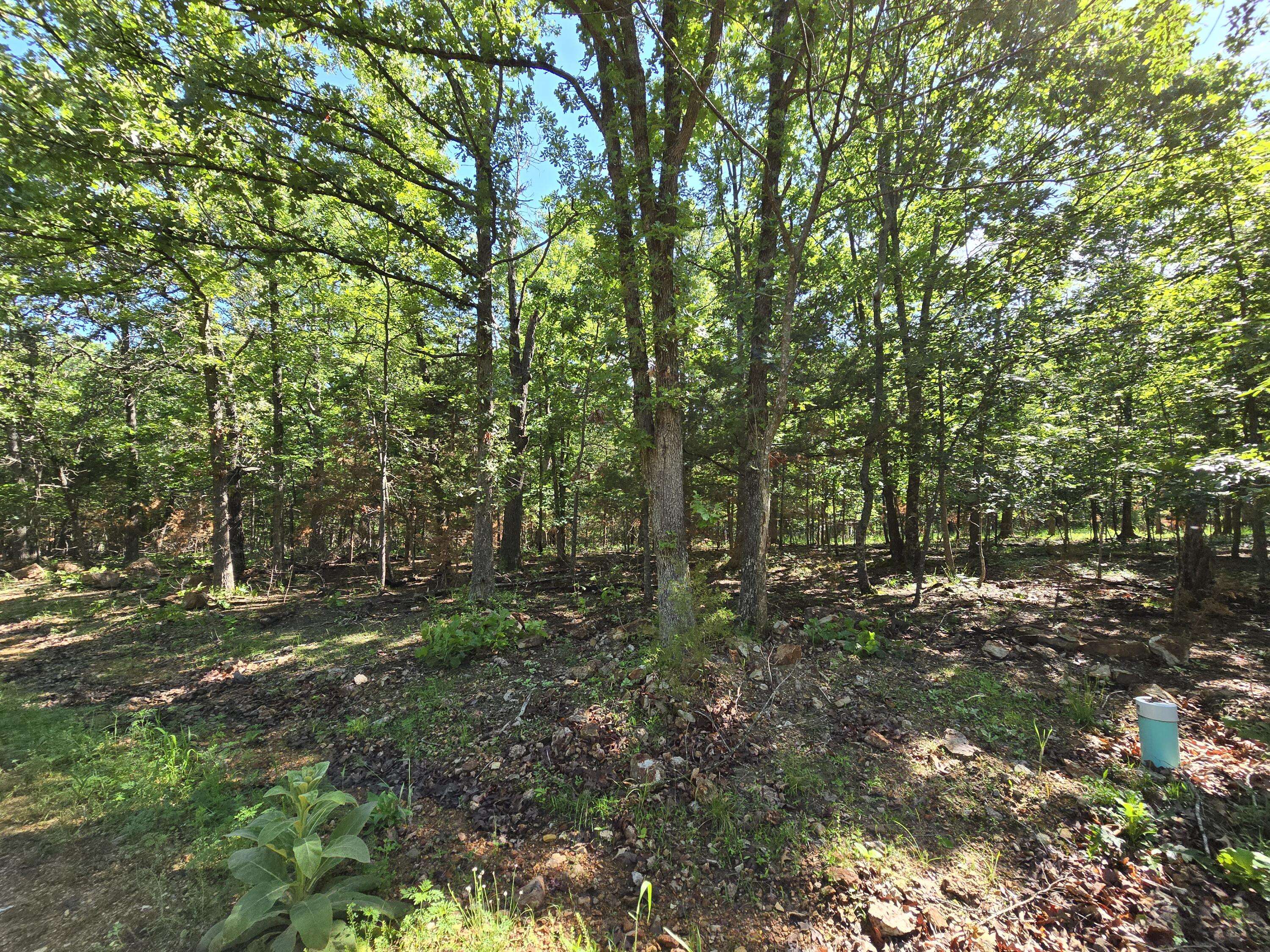 Pittsburg, MO 65724,Lot 13 Block 12 Tall Oaks