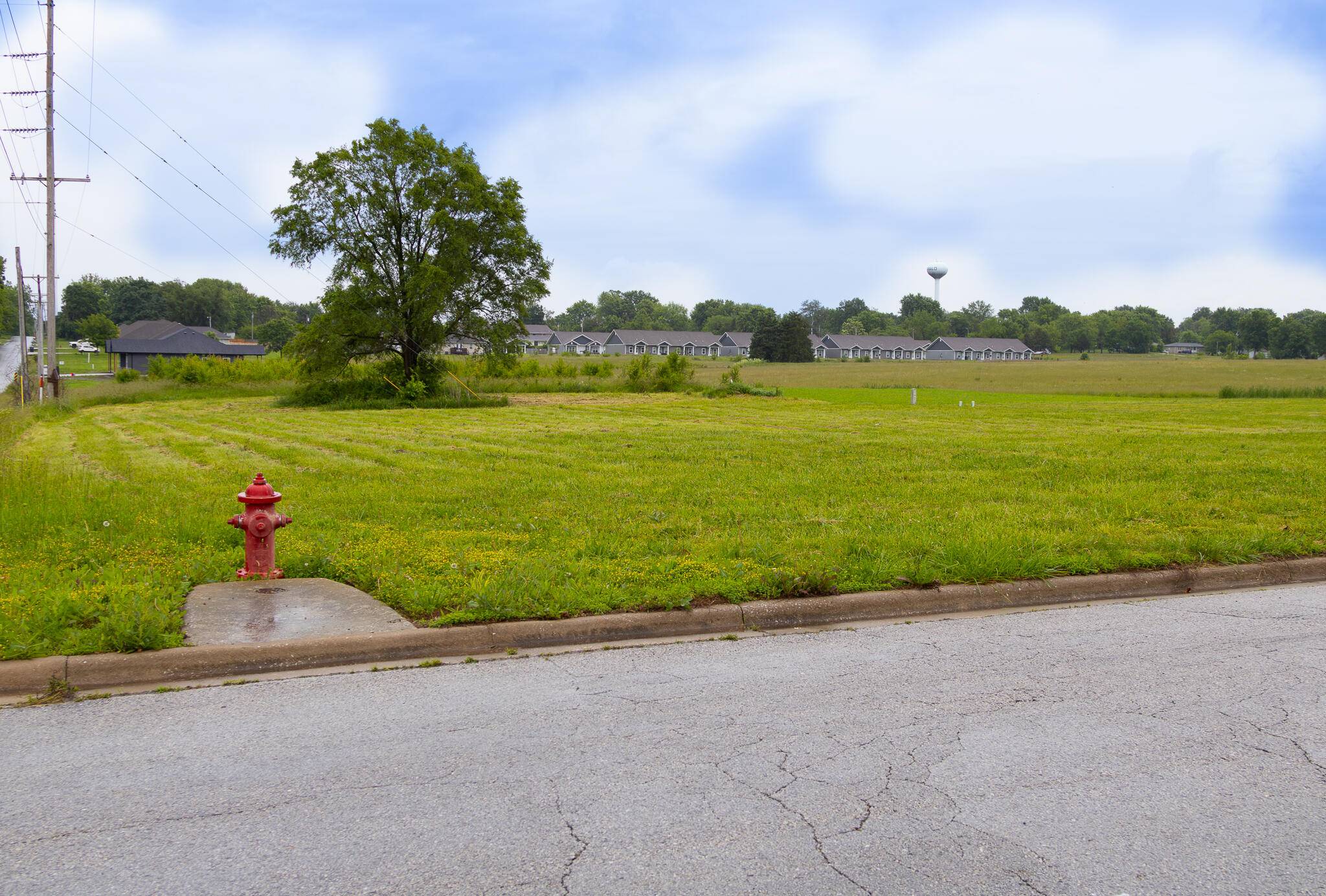 Buffalo, MO 65622,000 Holly DR