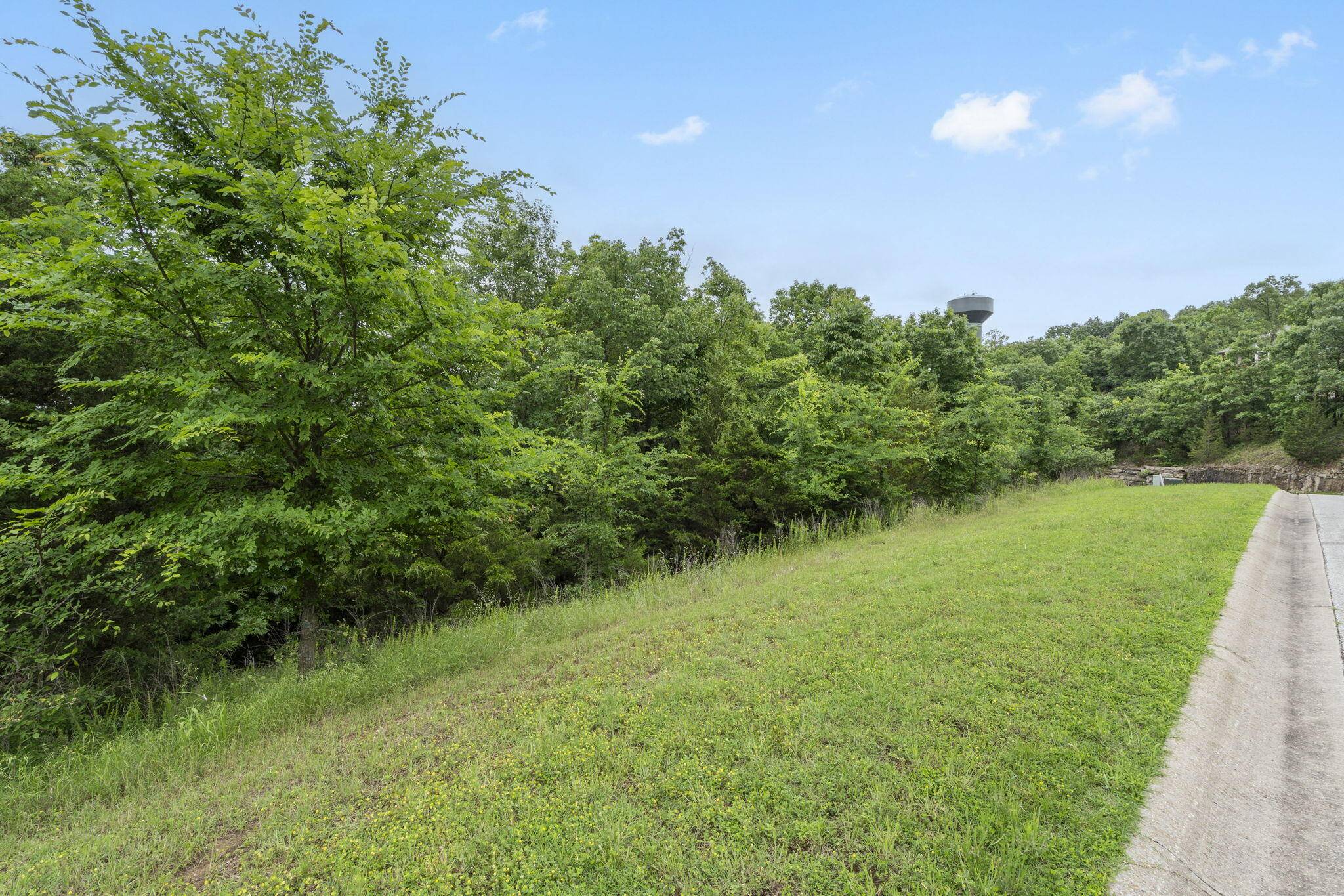 Hollister, MO 65672,138 Forest Oak DR