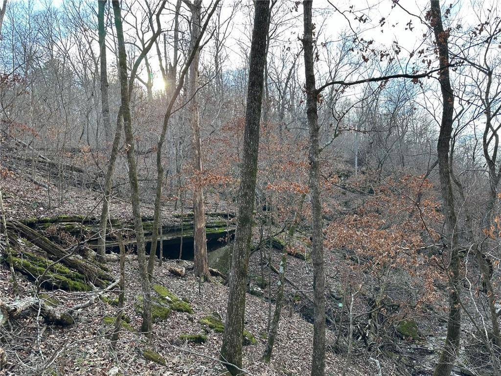 Noel, MO 64854,539 Thompson Lane