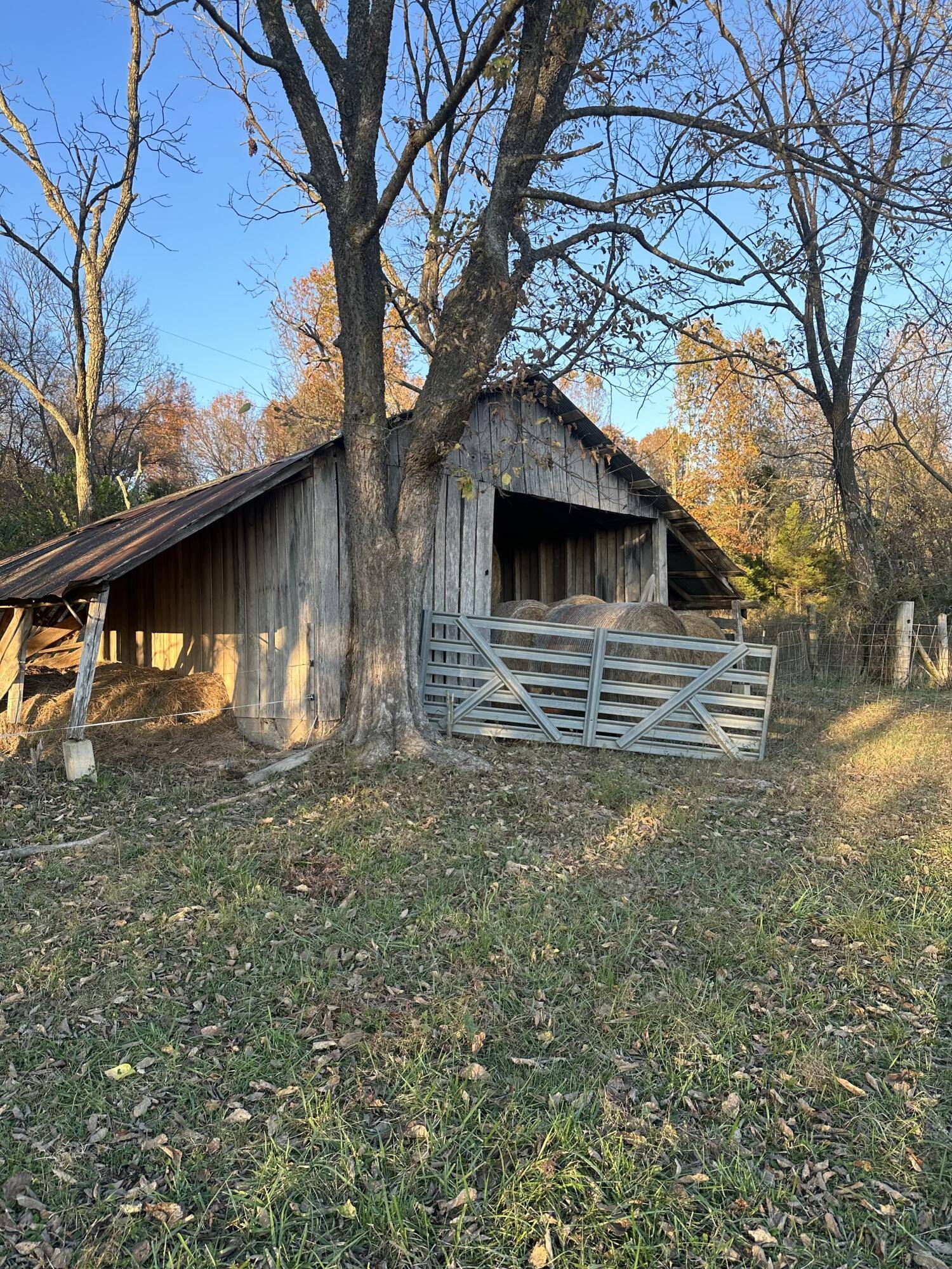 Fordland, MO 65652,... Choctaw Road 29 Acres