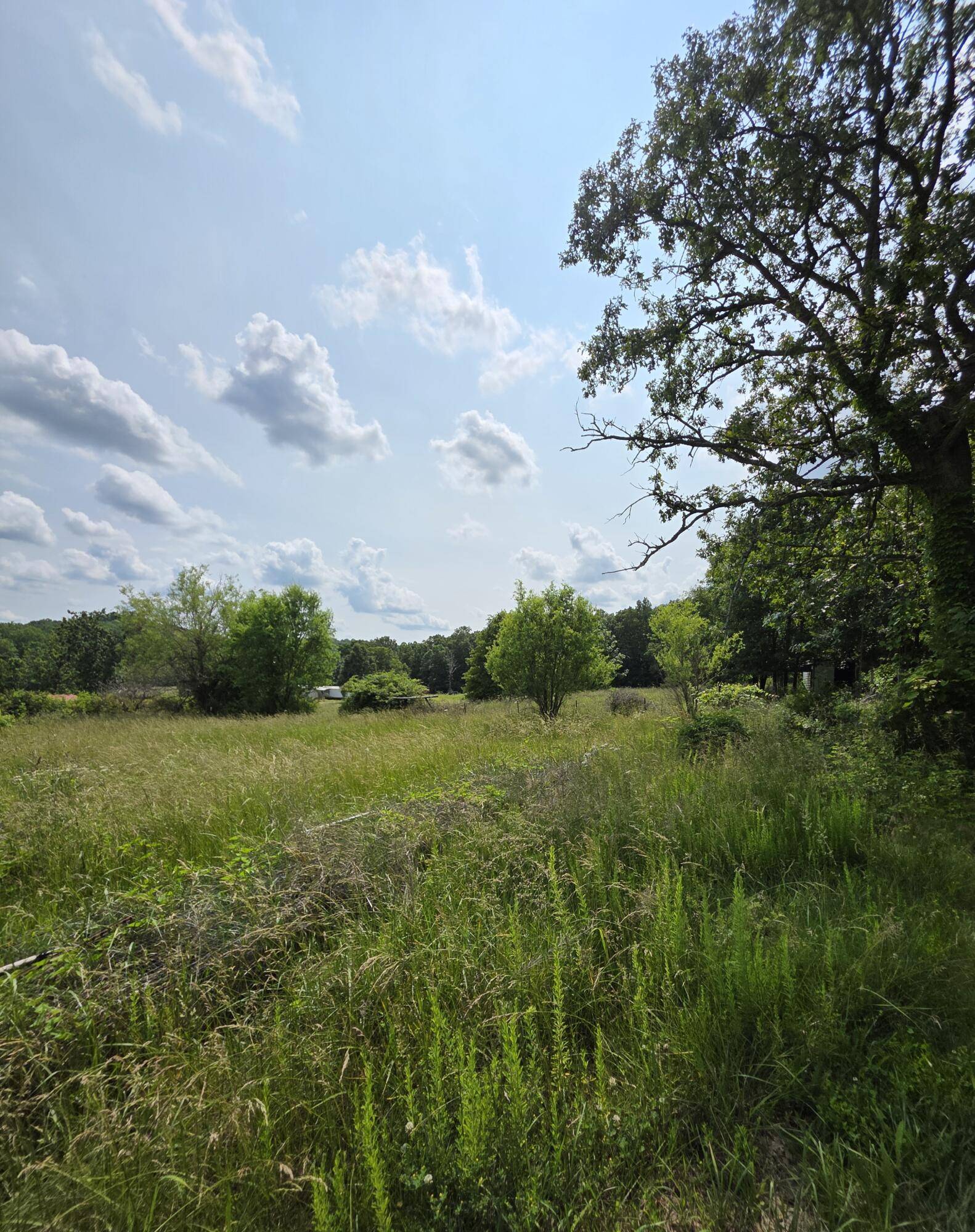 Seymour, MO 65746,634 Banks DR