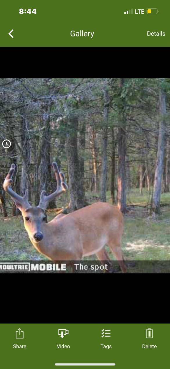 Crane, MO 65633,000 Sunny Slope DR