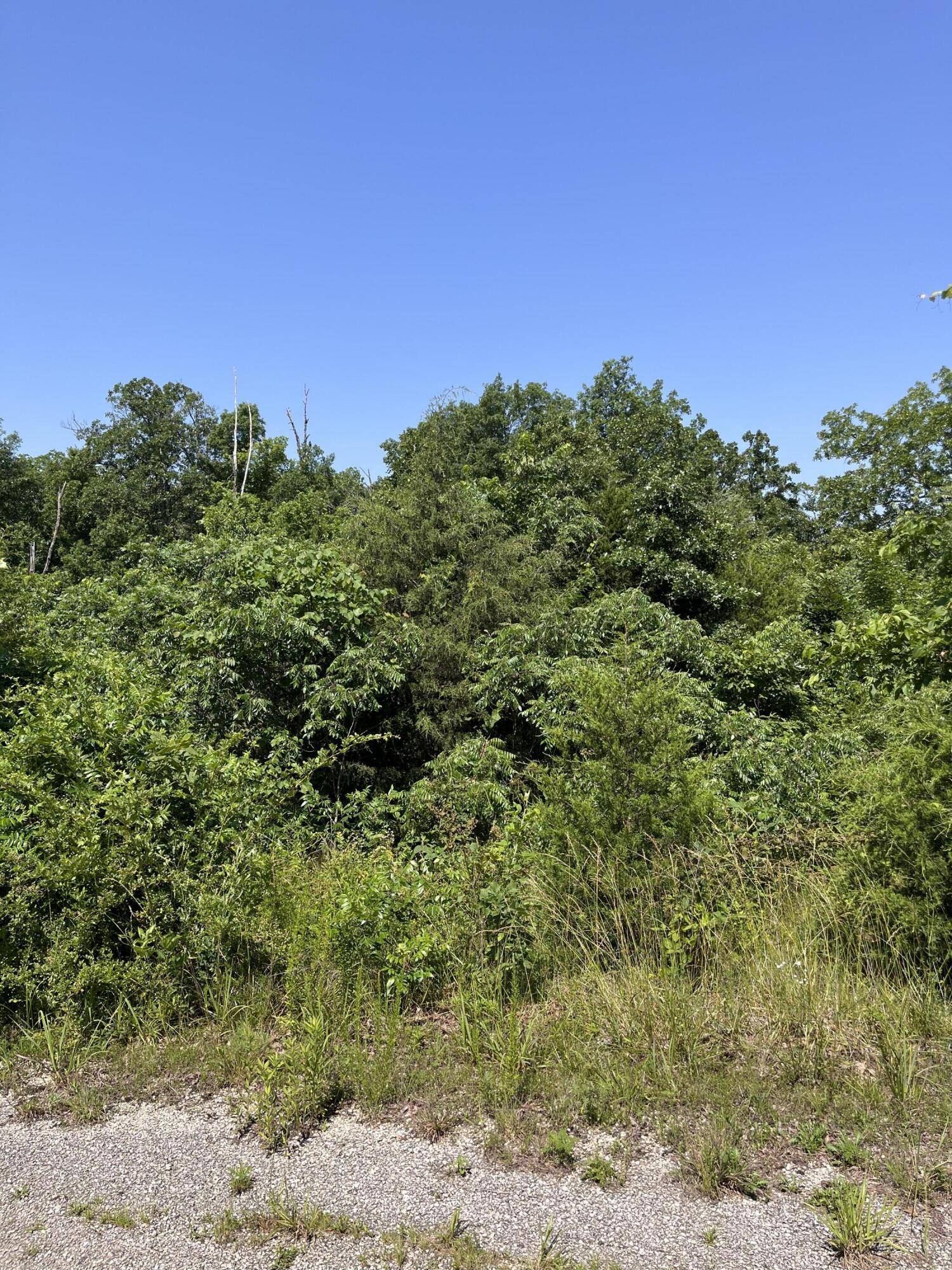Marshfield, MO 65706,000 Lot 87 Niangua Ranch