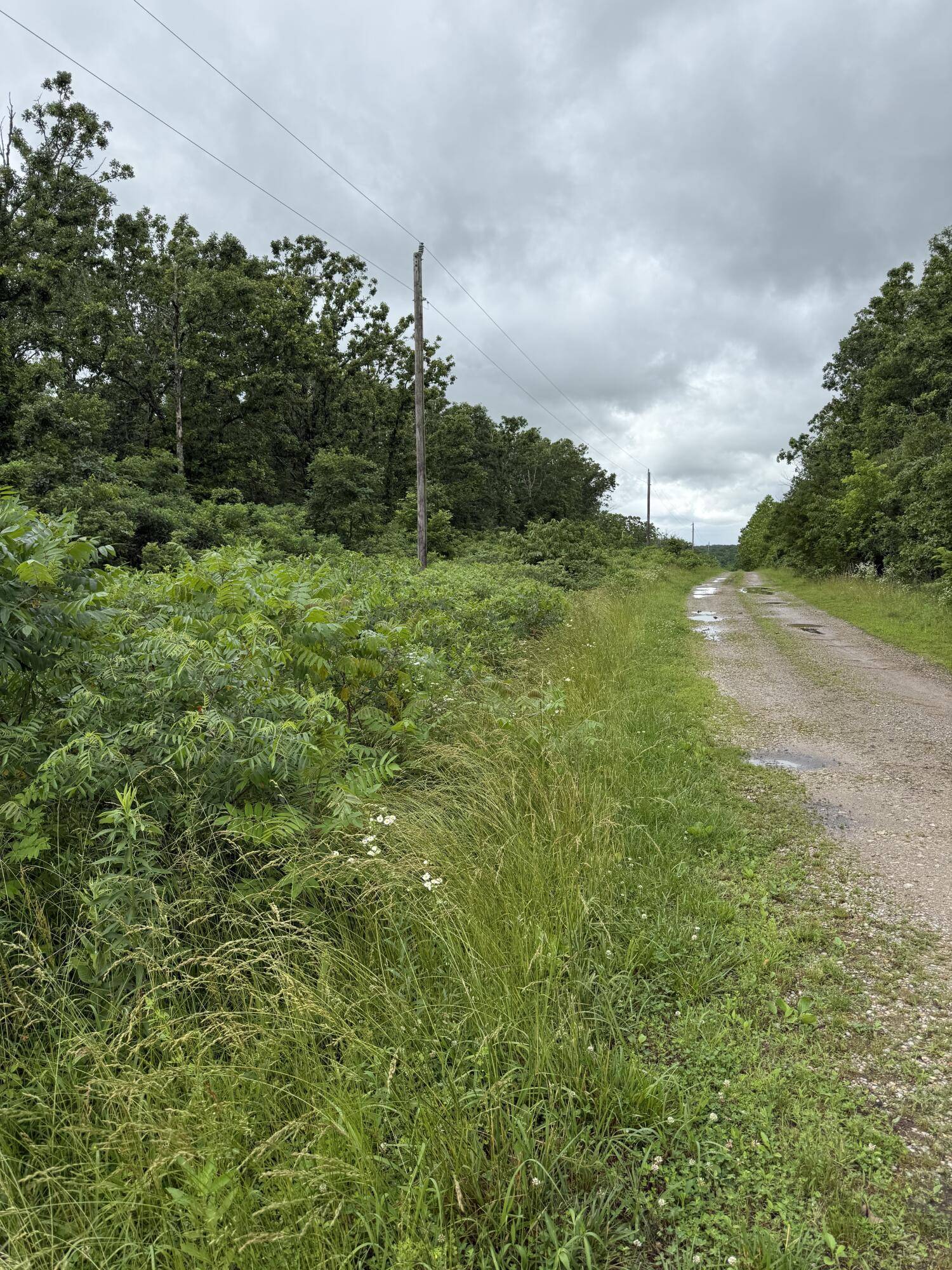Niangua, MO 65713,000 Moonshadow Rd RD