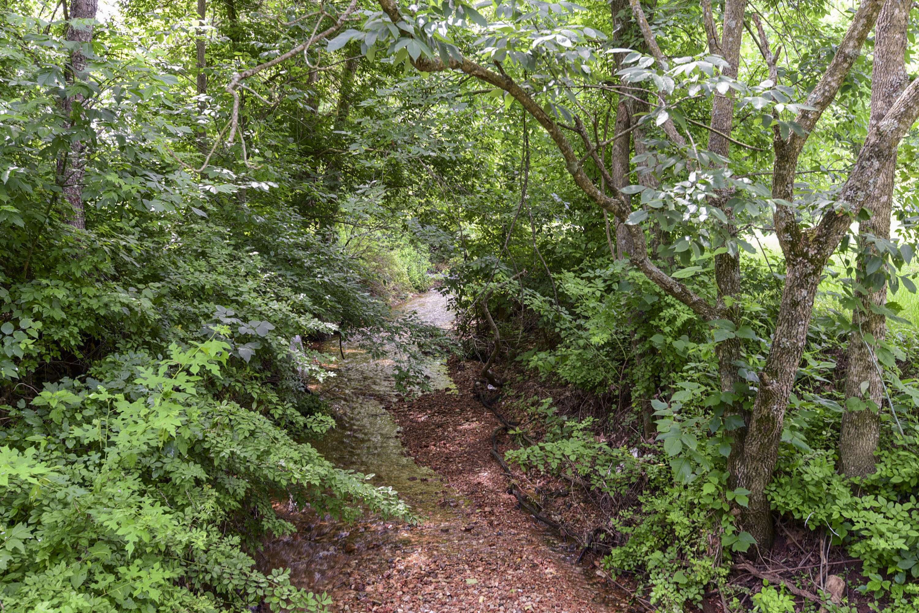 Exeter, MO 65647,19696 Farm Road 1043
