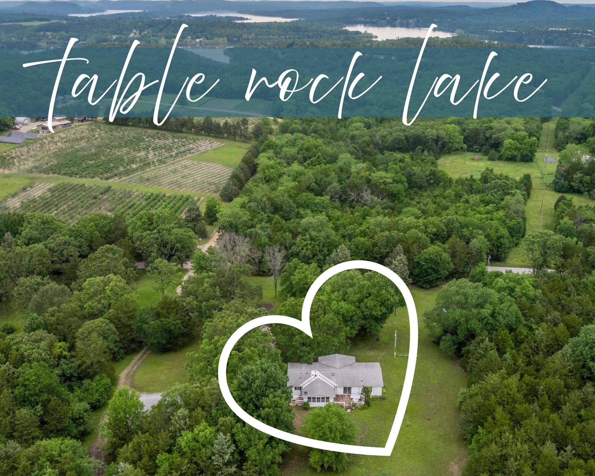 Lampe, MO 65681,366 Persimmon Hill LN
