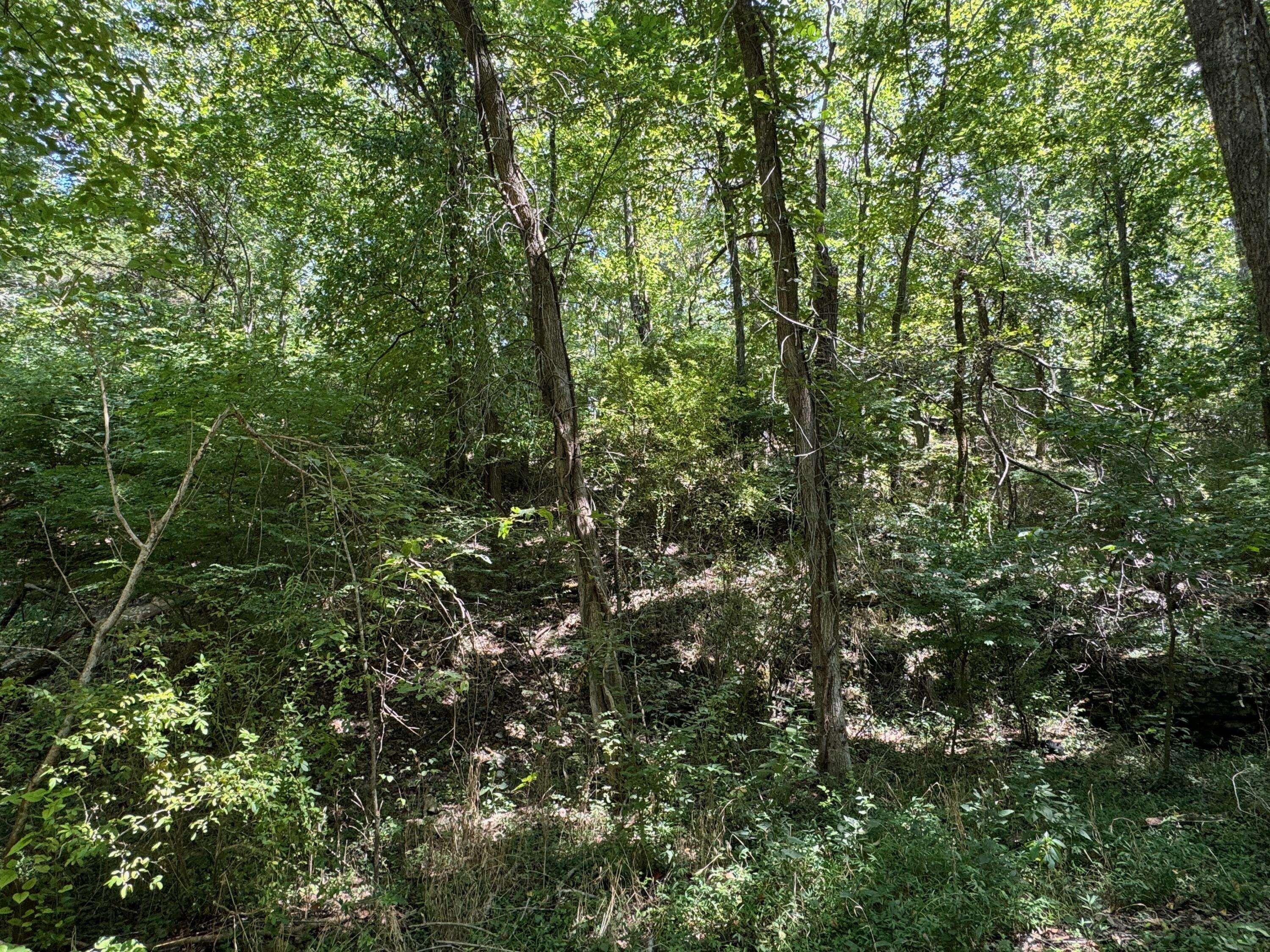 Ozark, MO 65721,550 N 10th Lot 5 AVE #Lot 5