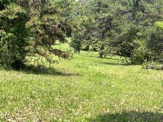 Fremont, MO 63941,Pr Off County Road 164