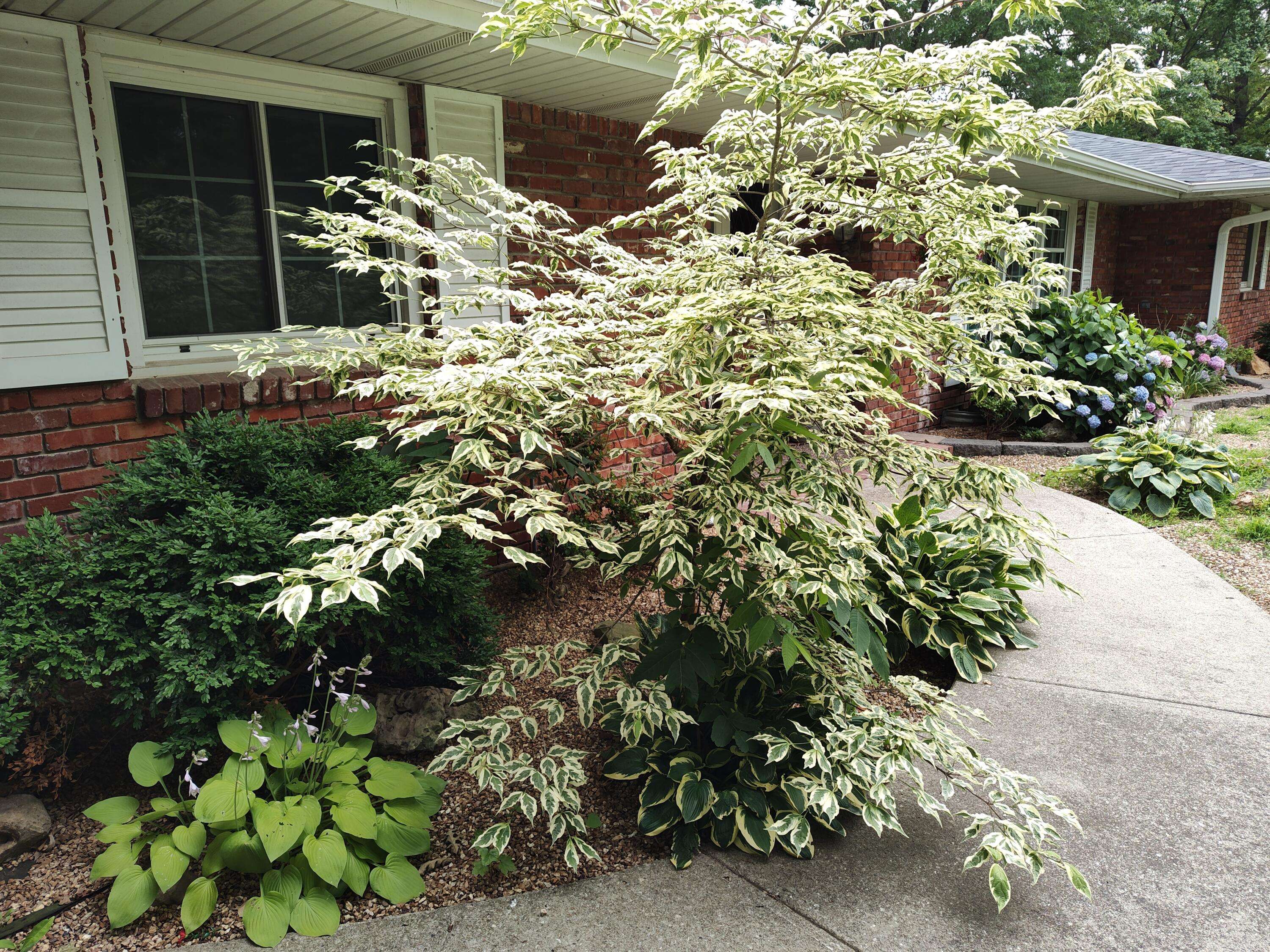 Bolivar, MO 65613,424 W Olive ST