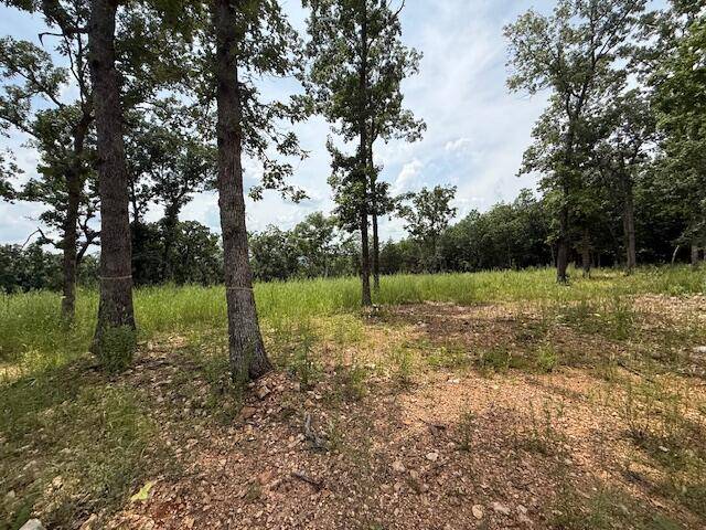 Pittsburg, MO 65724,2.7 Acres County Road 245