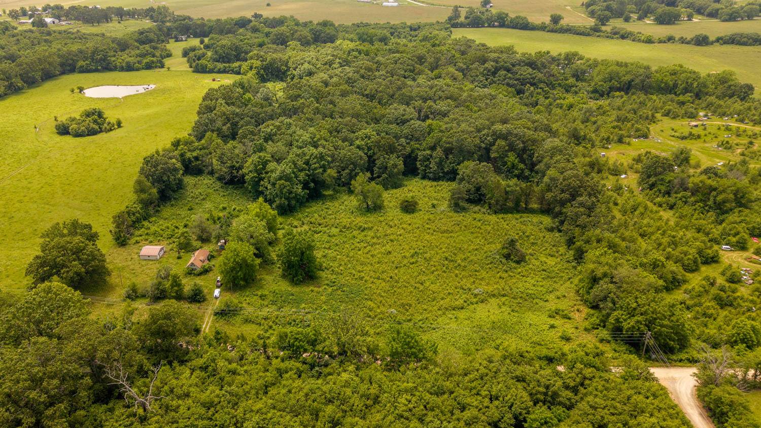 West Plains, MO 65775,1138 County Road 8120