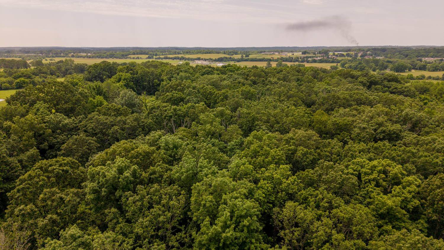 West Plains, MO 65775,1138 County Road 8120