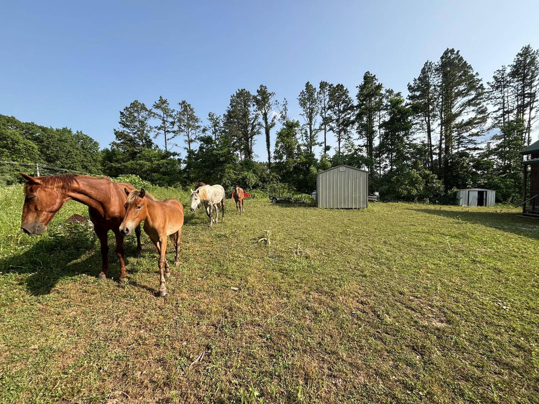 Eminence, MO 65466,15047 Old West Eminence Road