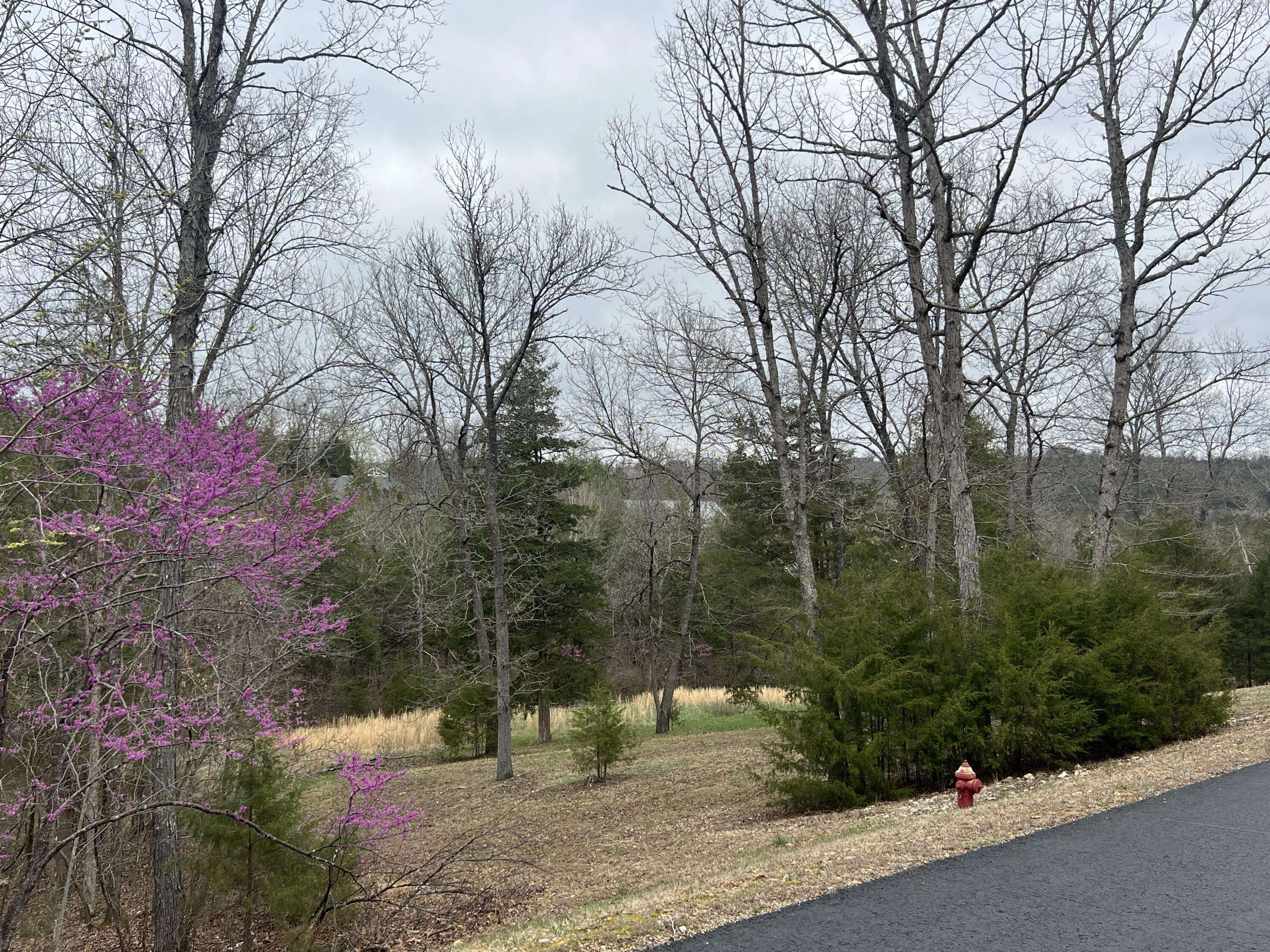 Saddlebrooke, MO 65630,000 Appaloosa Trail
