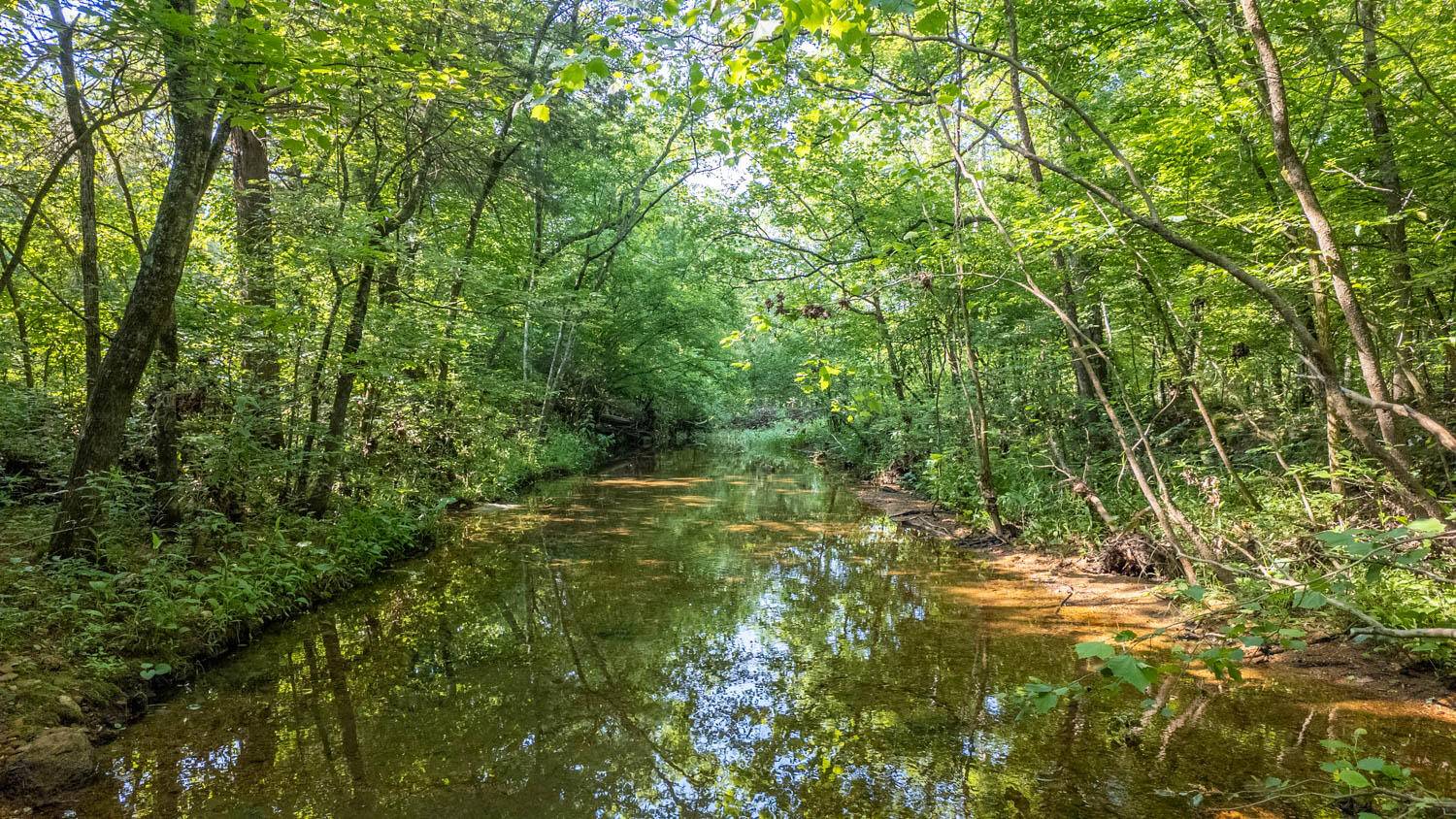Ravenden, AR 72459,Tbd Brown's Creek Road