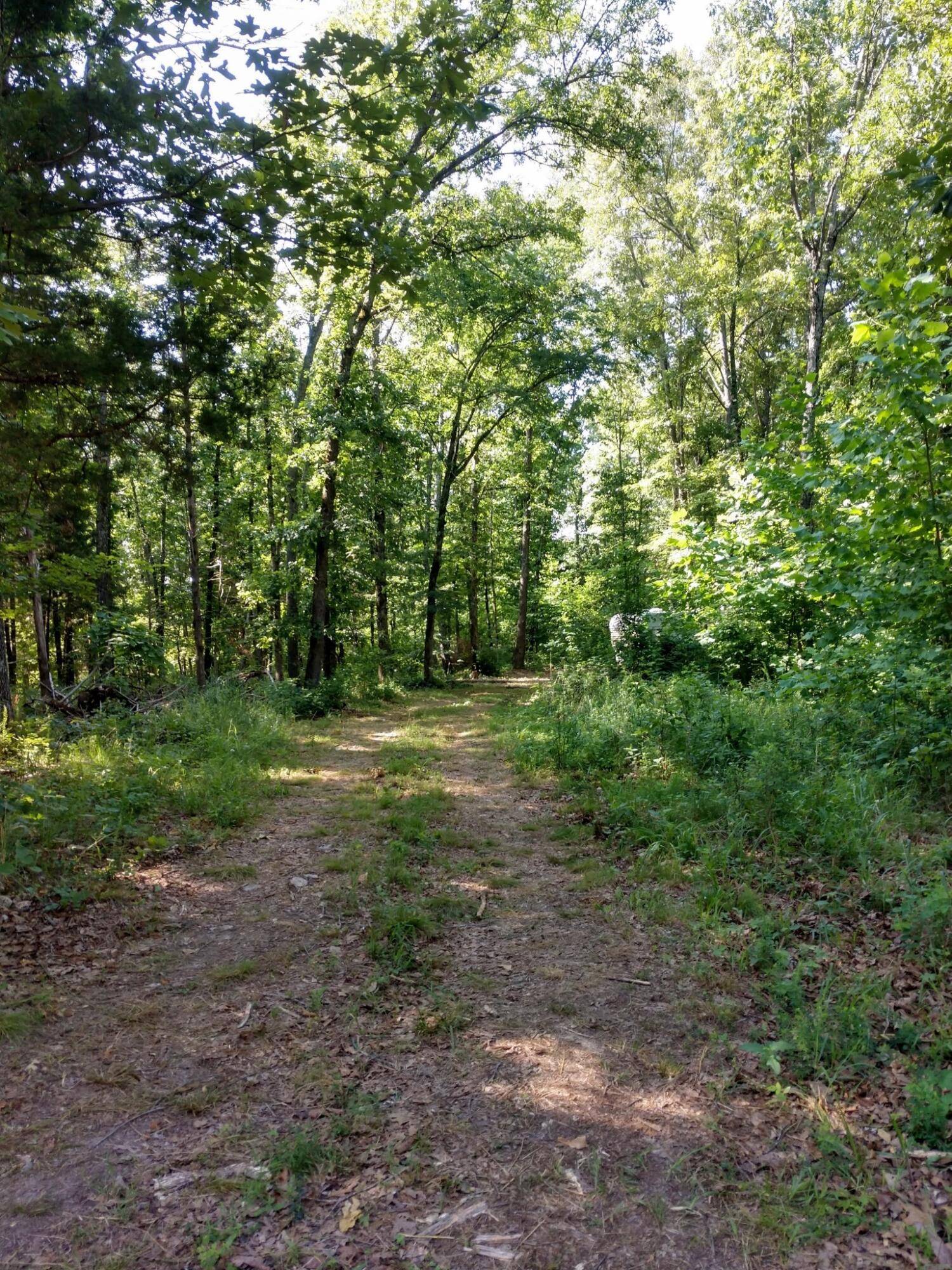 Willow Springs, MO 65793,5366 Private Road 5212