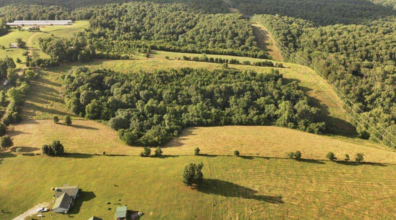 Noel, MO 64854,Tbd Low Gap Road