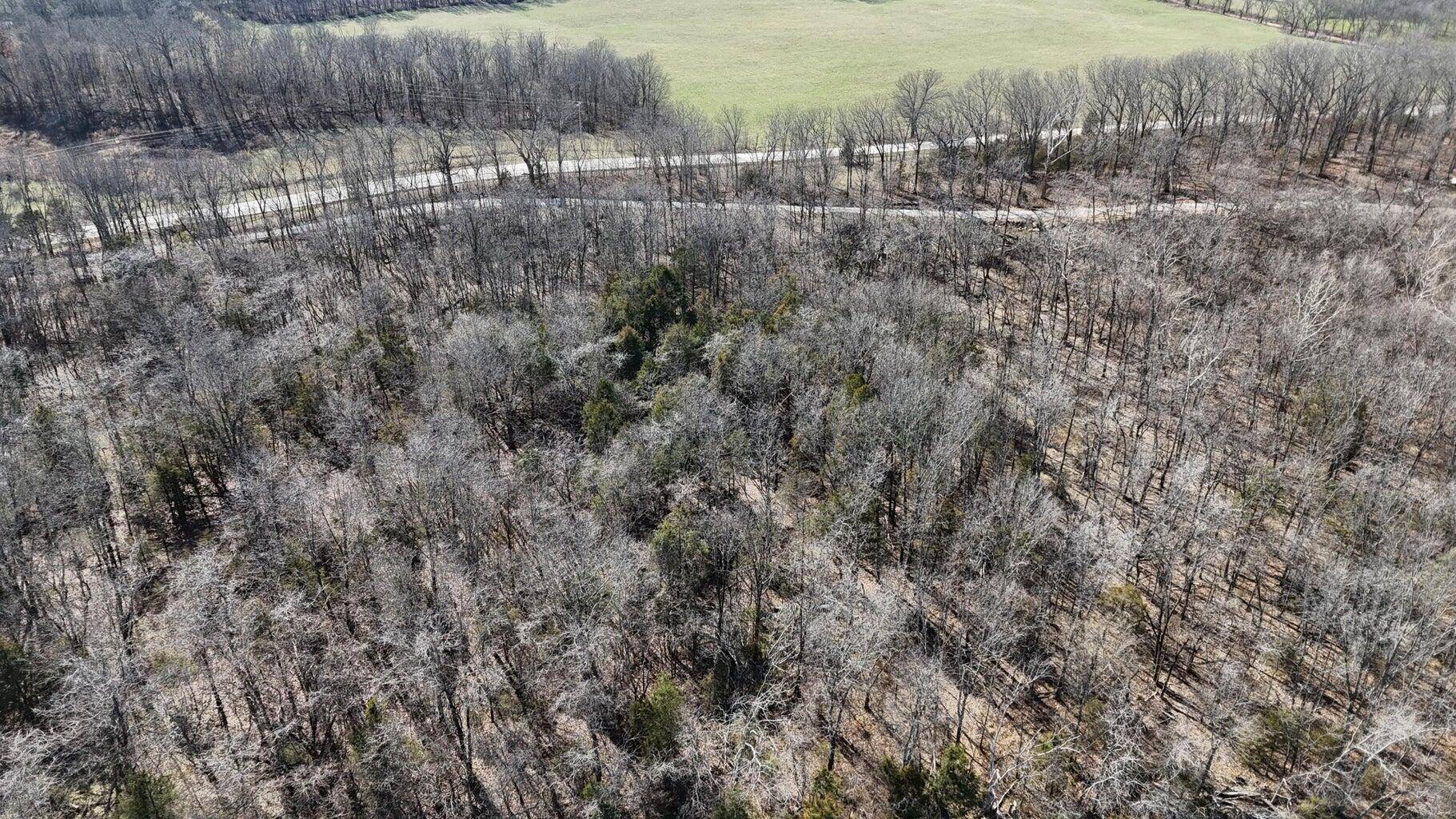 Hartville, MO 65667,Tract 3 38 Highway