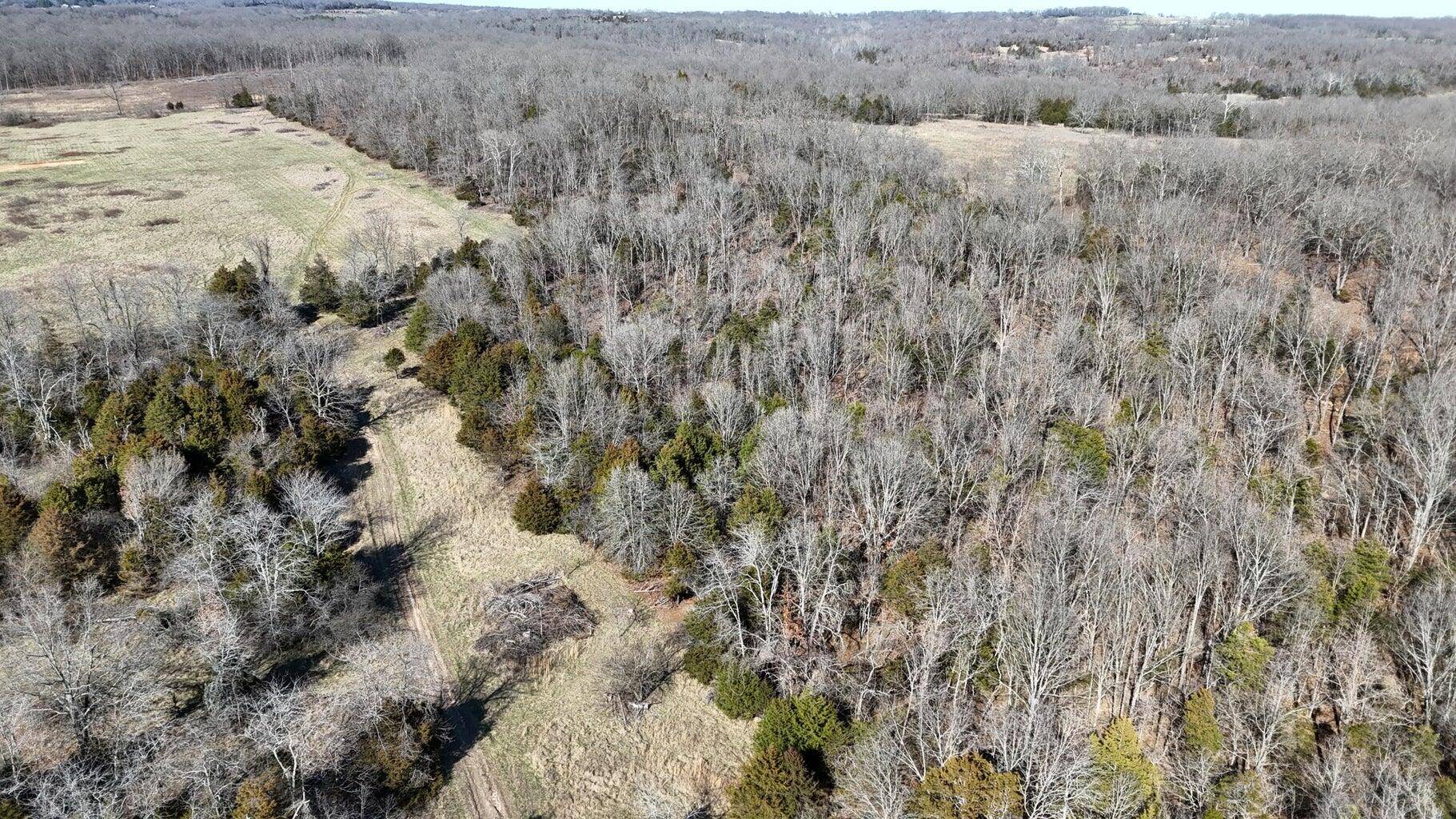 Hartville, MO 65667,Tract 5 38 Highway