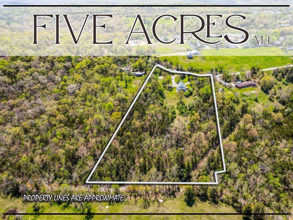 Forsyth, MO 65653,481 Jessi RD