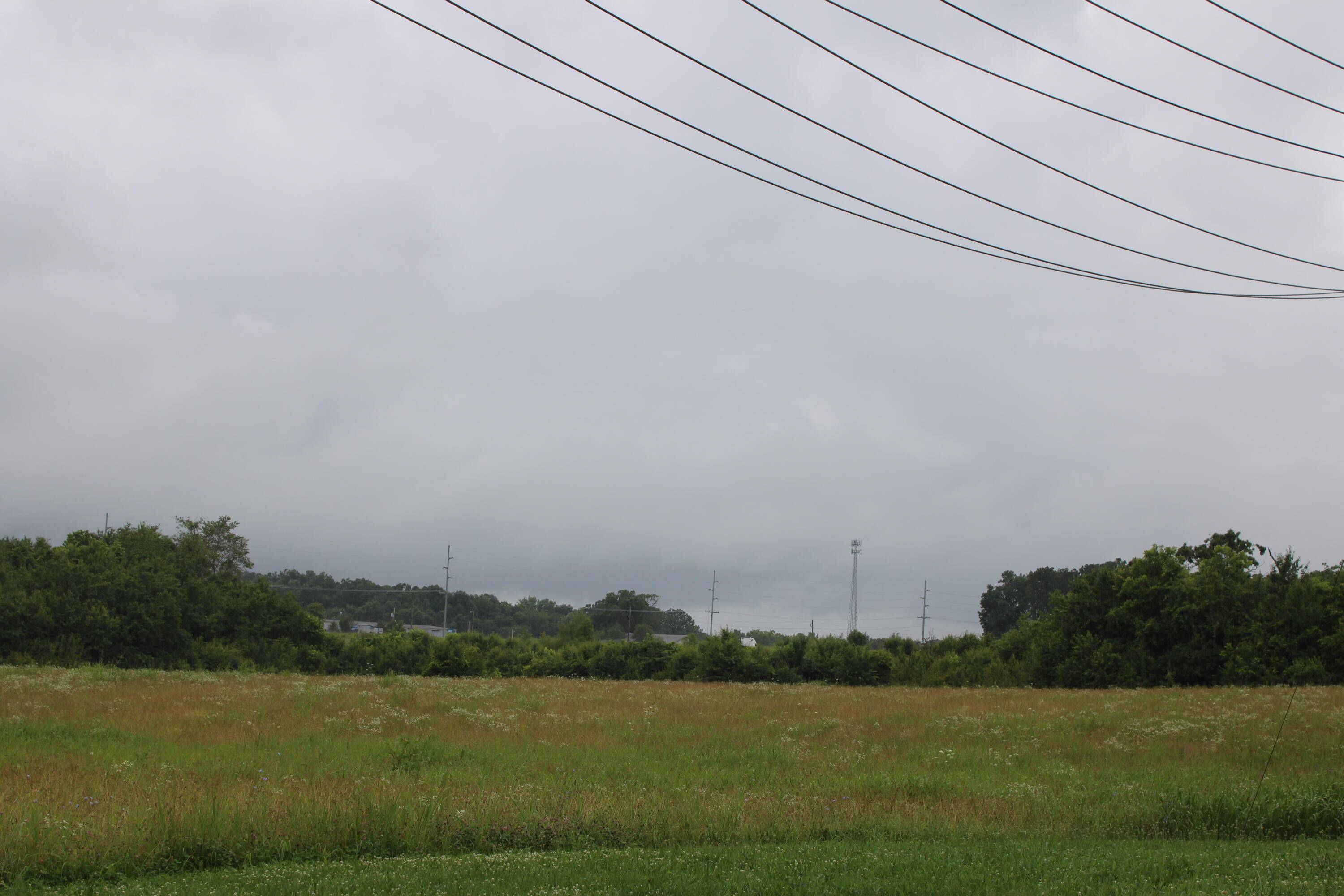 West Plains, MO 65775,Address not disclosed