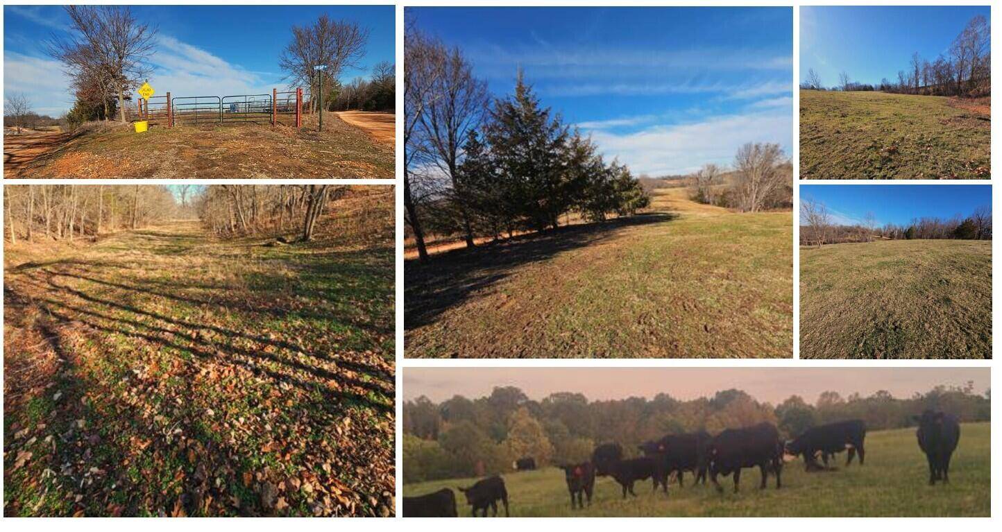 Noel, MO 64854,9.69 Low Gap RD