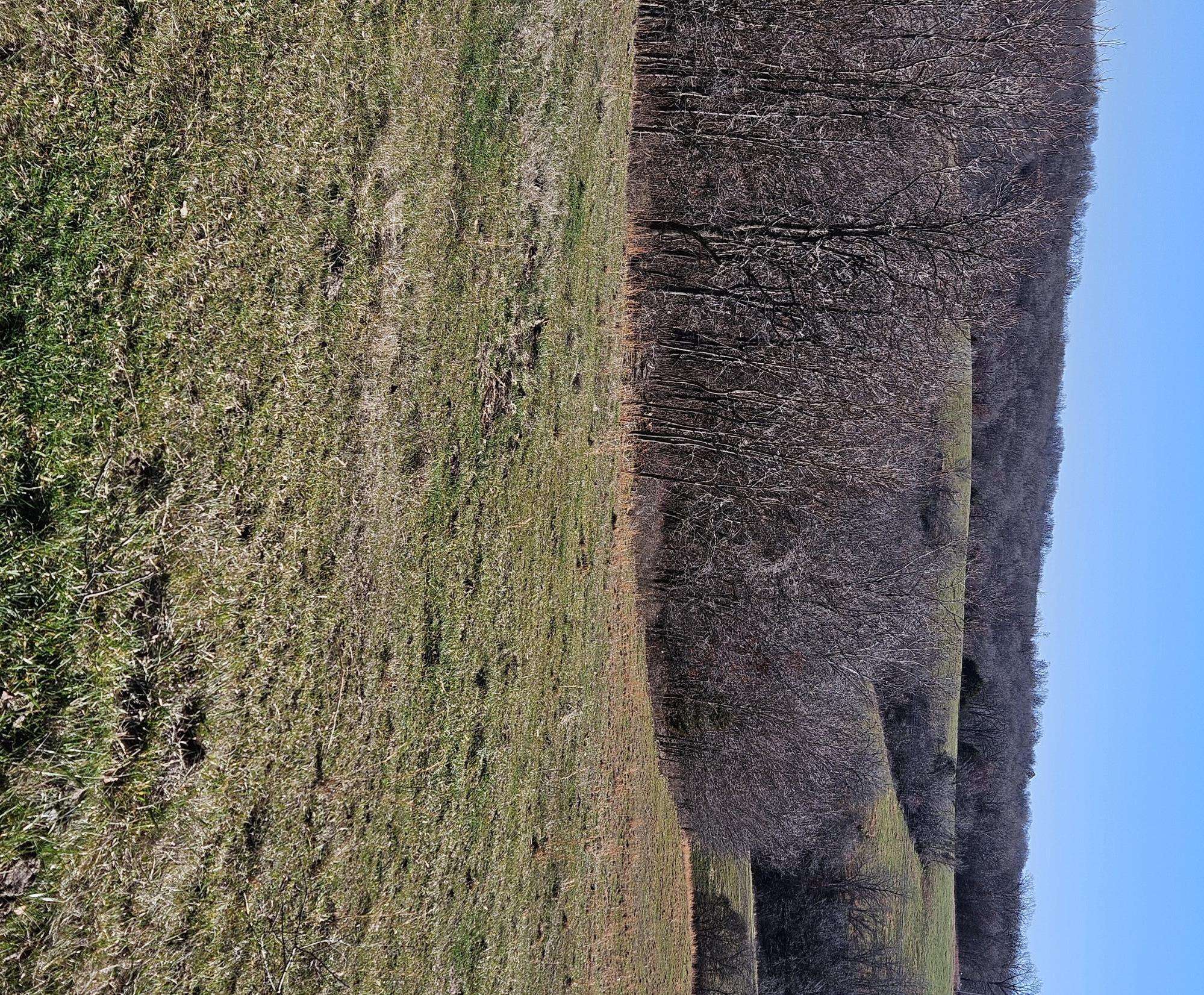 Noel, MO 64854,9.69 Low Gap RD