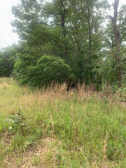 Vanzant, MO 65768,000 County 76-251 RD