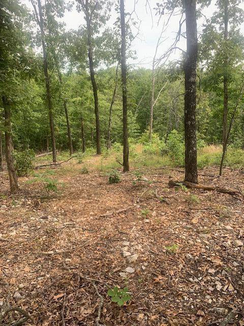 Vanzant, MO 65768,000 County 76-251 RD