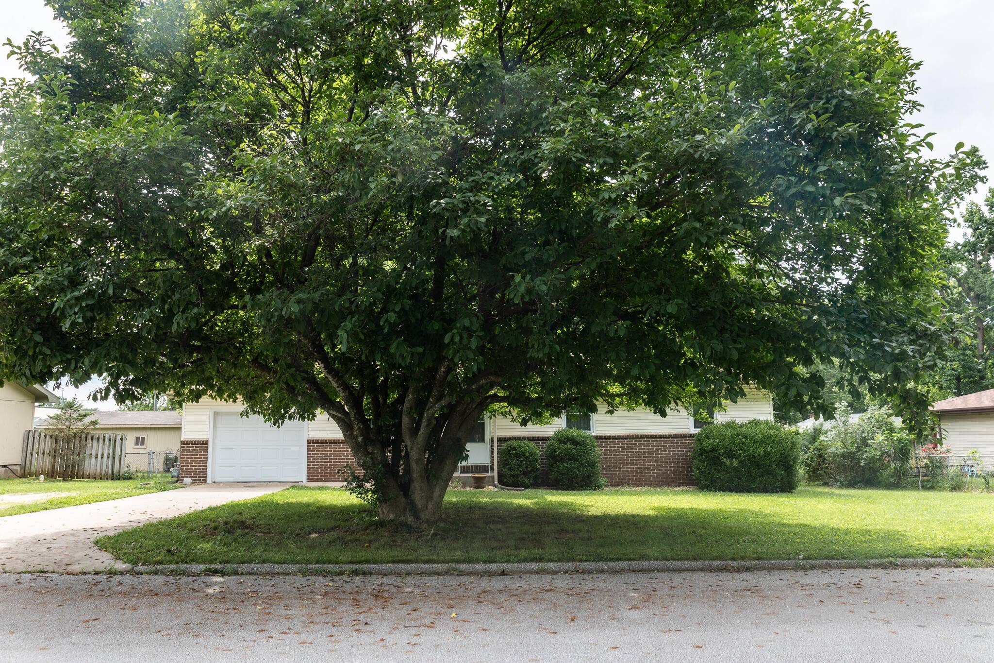 Nixa, MO 65714,703 Evergreen AVE