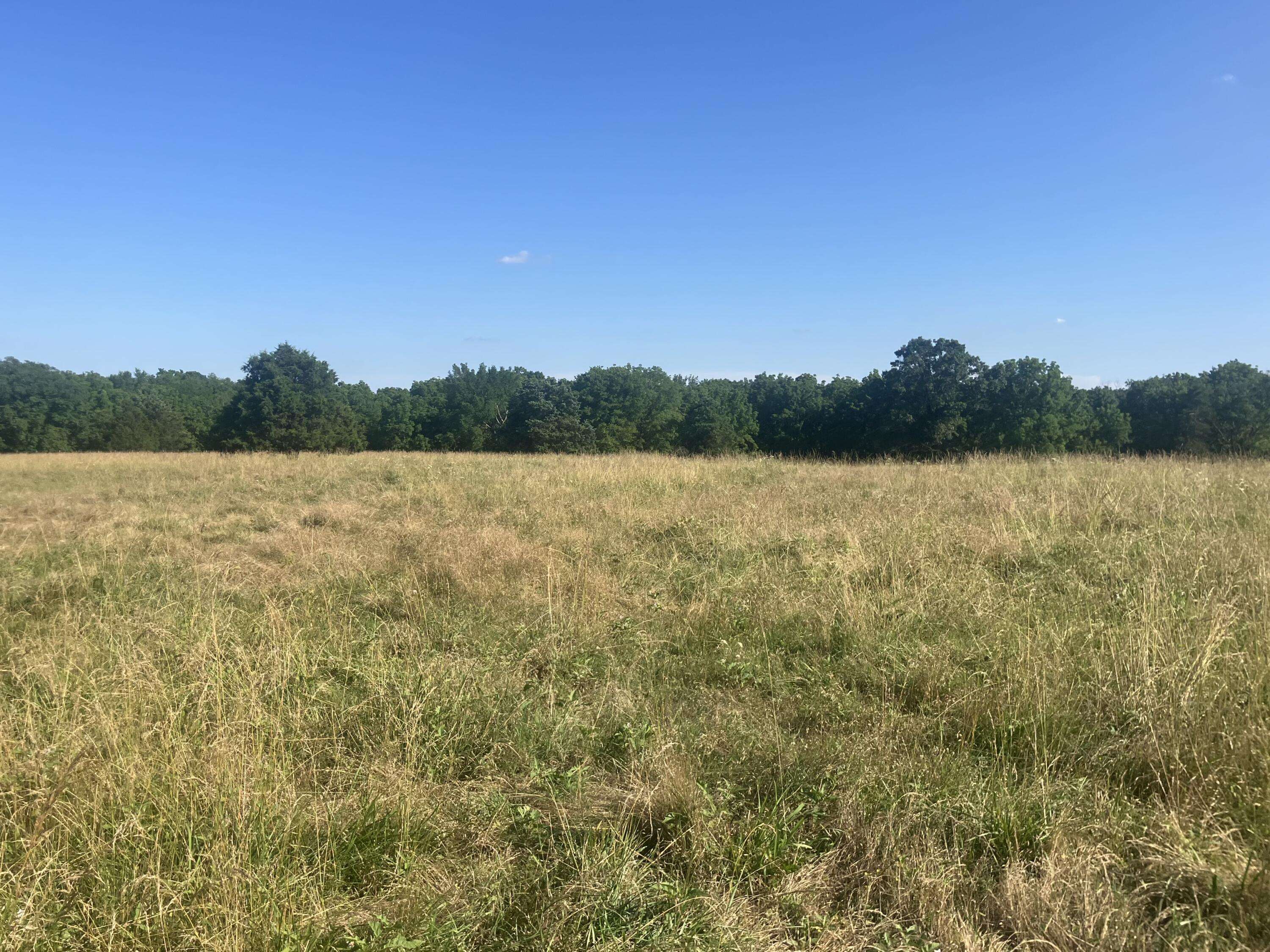 Seneca, MO 64865,Xxx Jute RD