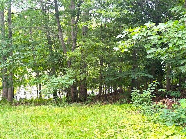 Lampe, MO 65681,000 Lots 3,31,32 Mill Creek Shores