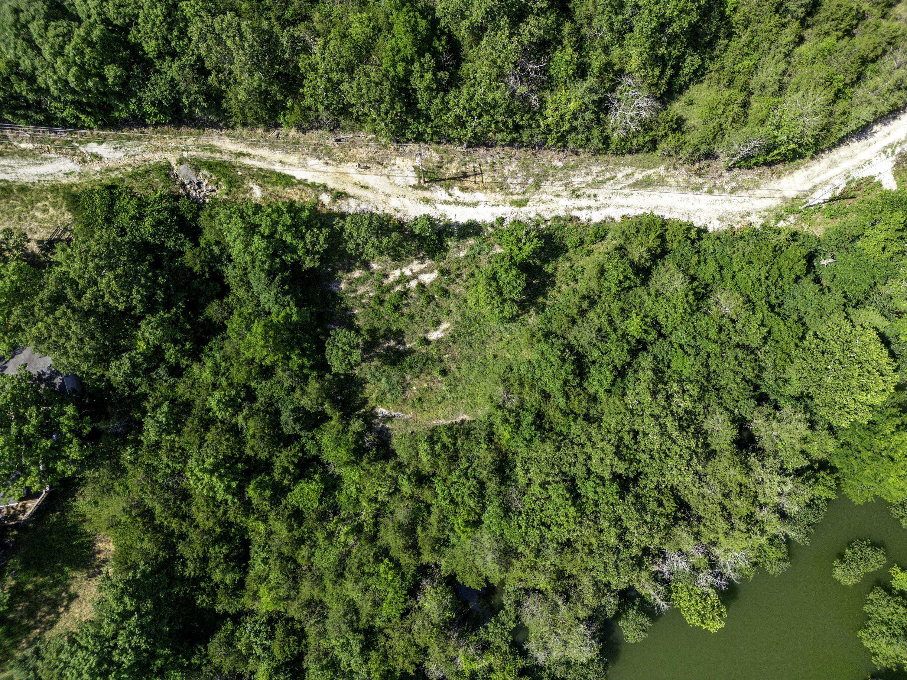 Reeds Spring, MO 65737,11 Turtle Cove LN