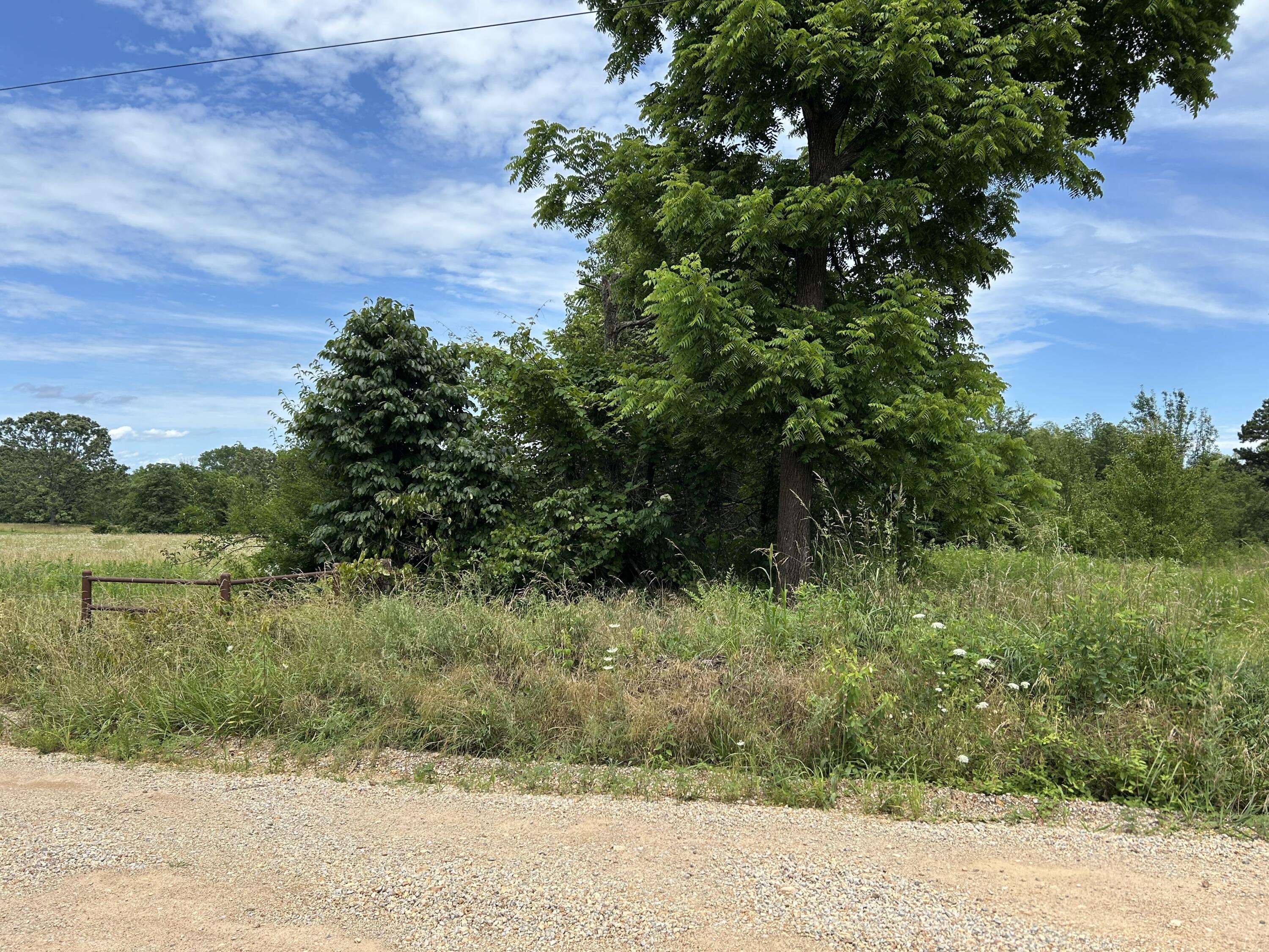 Alton, MO 65606,676 County Road 403