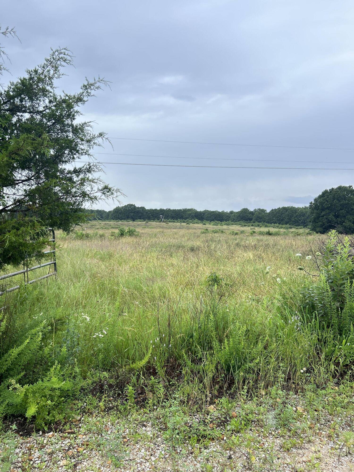 Weaubleau, MO 65774,Tbd SE 1325