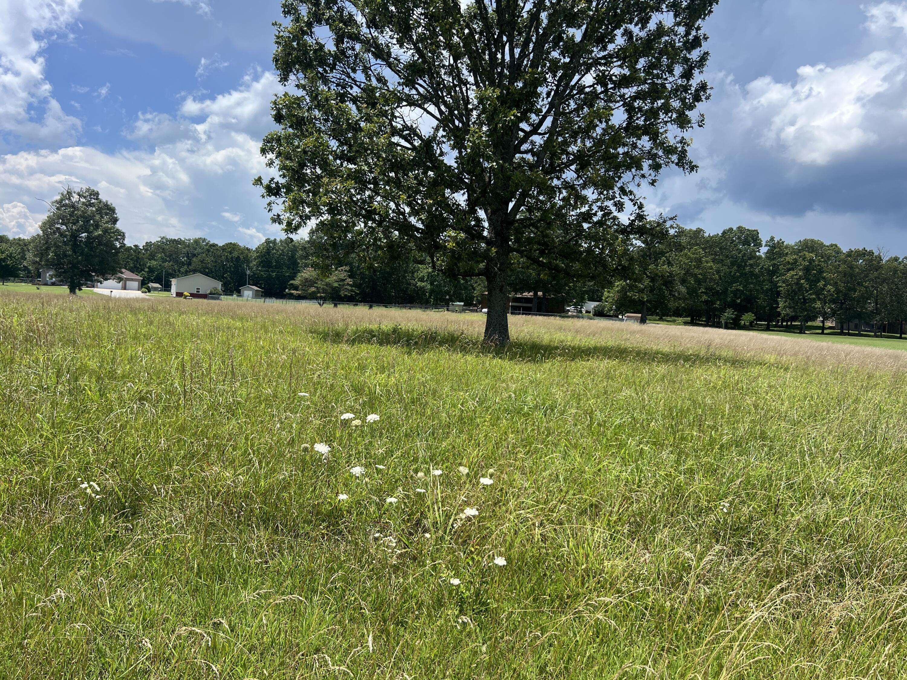 West Plains, MO 65775,000 Private Rd 8825