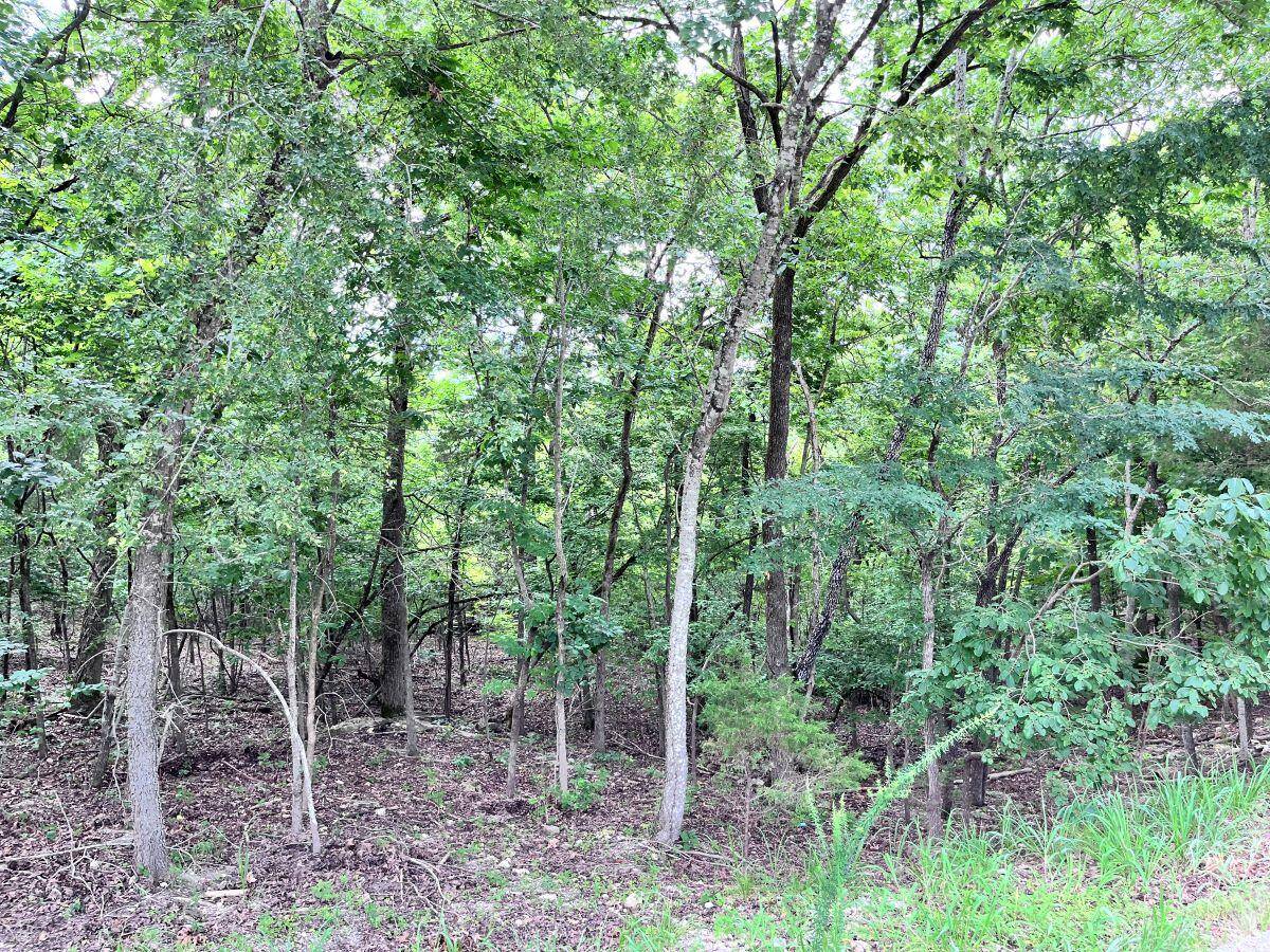 Cedar Creek, MO 65627,Tbd Copperhead RD