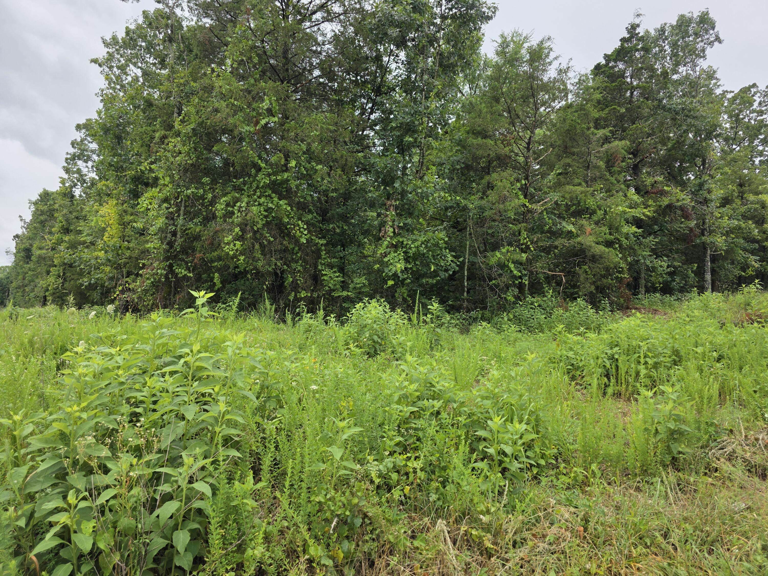 Shell Knob, MO 65747,Lot 261 Saratoga/Elm