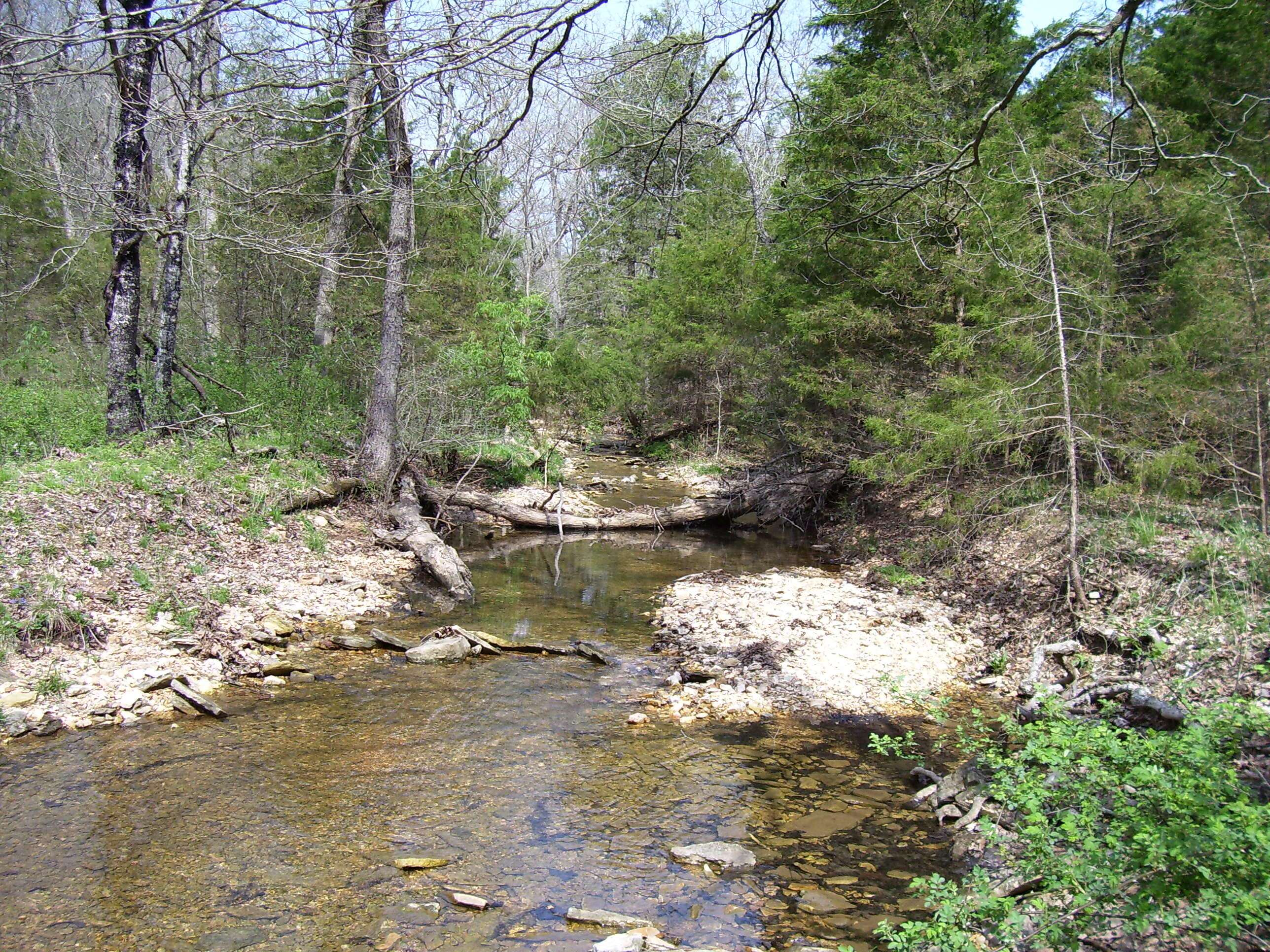 Cassville, MO 65625,19358 Farm Road 2145